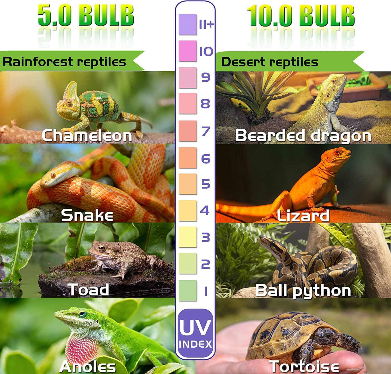 UVA UVB 10.0 Reptiles Bulb, 26W Dual-Threat UV Light Bulb, Compact Fluorescent Lamp, Suitable for Desert Reptiles image number 2