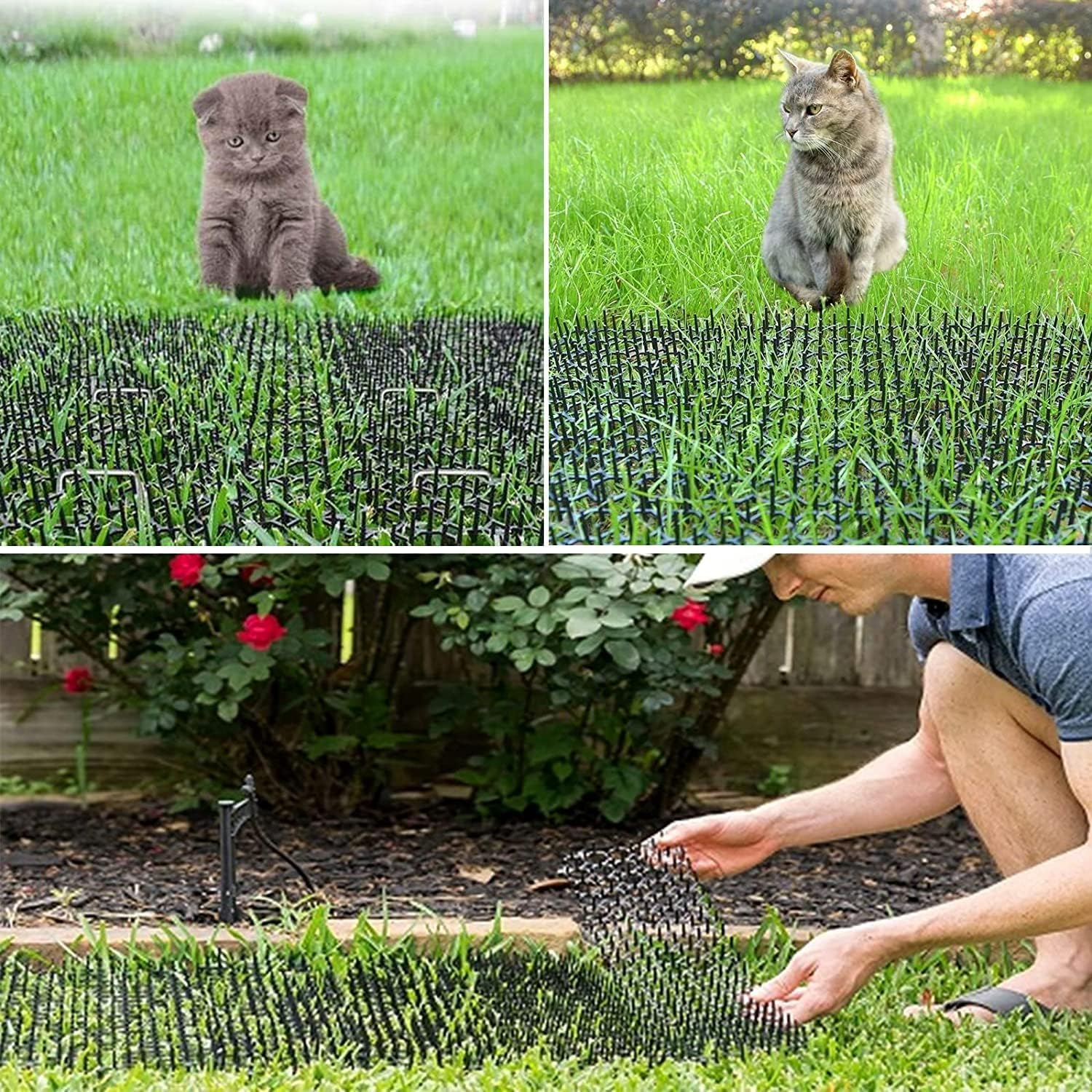10 Pcs Cat Deterrent Scat Mat for Cats,8X16 in Scat Mat for Cats,Cat Repellent Outdoor Cat Scat Mat,Cat Scat Mat with Plastic Spikes Cat Deterrent Mats Scat Mat,Cat Spike Mat Anti-Dig for Garden image number 3