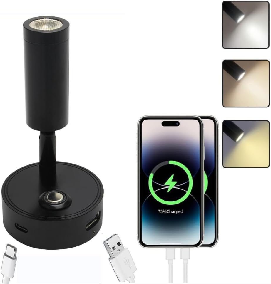 12V LED RV Reading Light with Dual Charging Ports, 3CCT Touch Control Dimmable RV Interior 12V Bedside Light Fixture Spotlight for Motor-House Camper Caravan Vehicle Vessel Boat Yacht (Black) image number 1