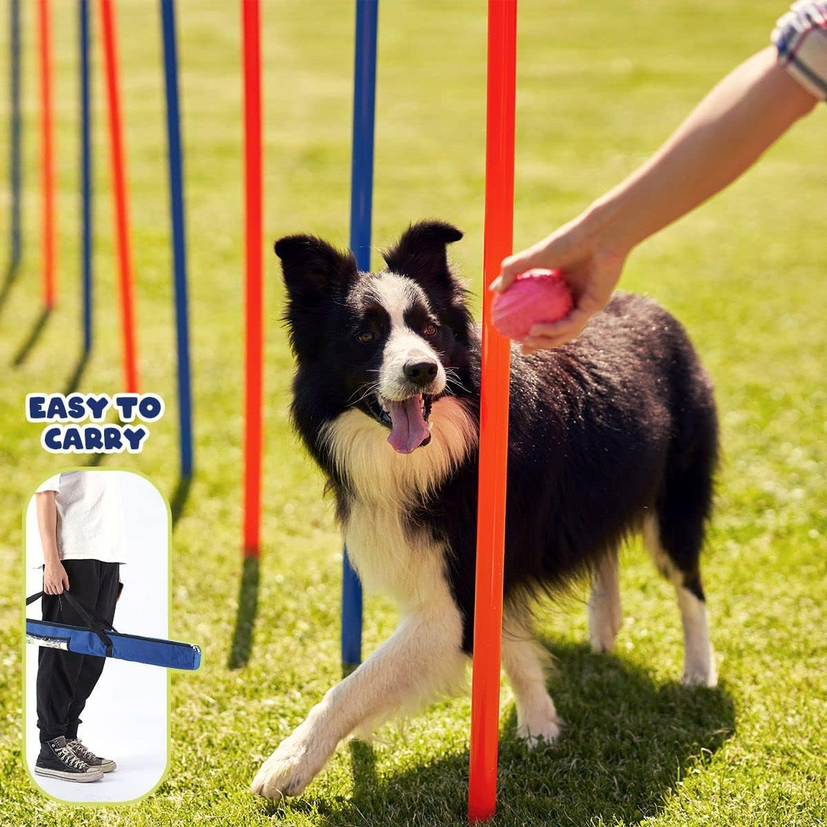 12Pcs Dog Agility Equipment Pet Weave Pole Puppy Interactive Toys Dog Exercise Training Adjustable with Carrying Case image number 3