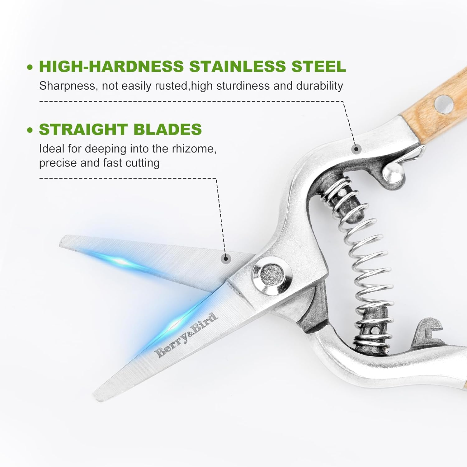 Berry&Bird Straight Pruning Shears with Stainless Steel Blades Garden Hand Pruner 8'' Scissors with Wooden Handle Clippers for Gardening Trimming Cutting Bonsai image number 2