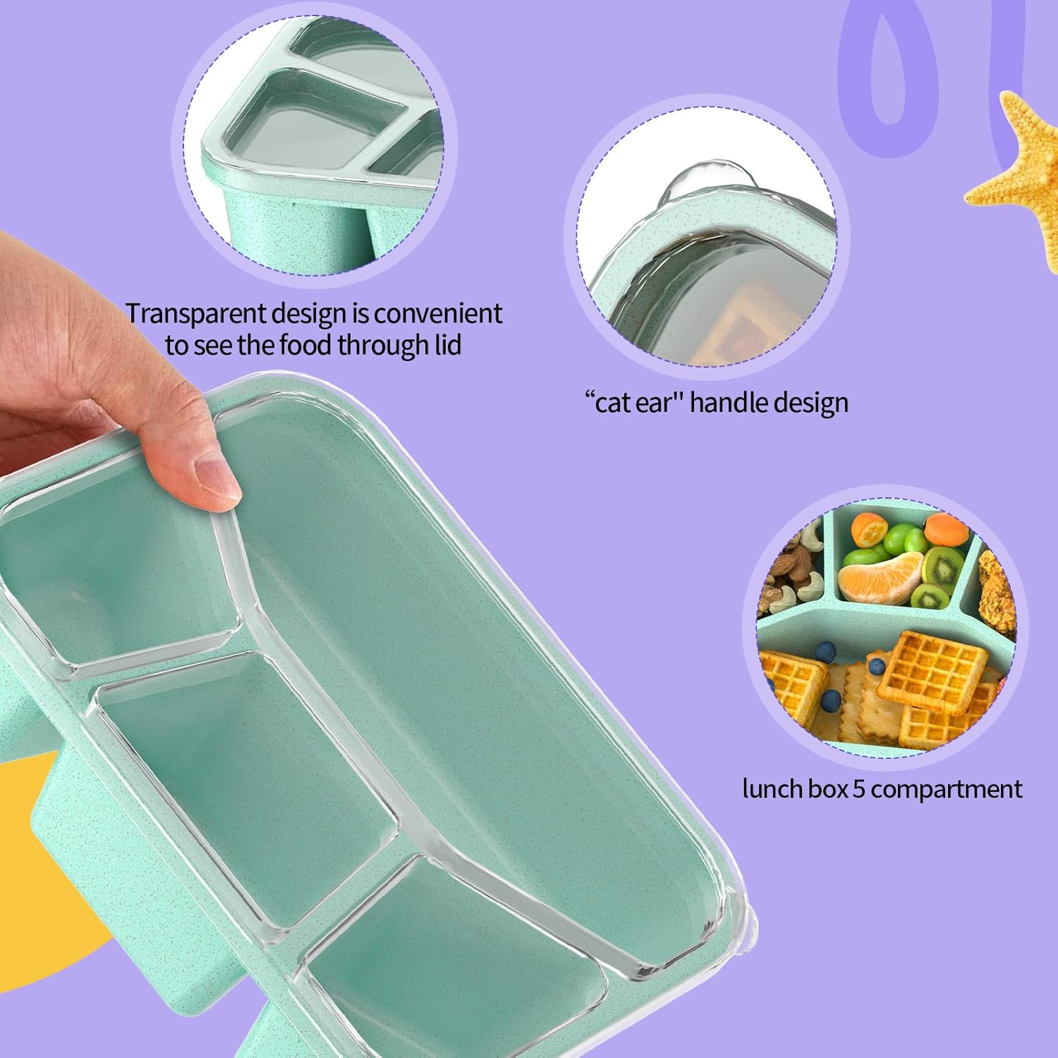 Bento Lunch Box and Snack Containers - 4 Compartments, Durable and Safe Lunch Containers for Adults Kids with Transparent Lid, Microwave Safe, BPA Free - Set of 4 (Wheat (Green/Blue/Pink/Beige)) image number 5