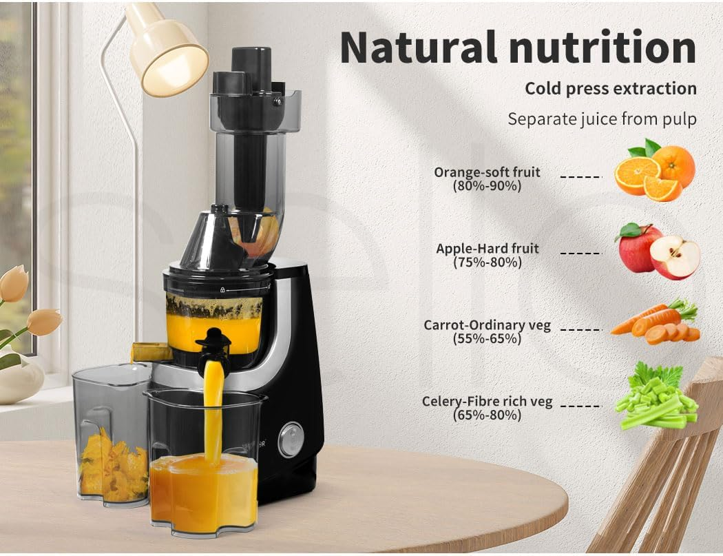 Spector Electric Cold Press Juicer Whole Fruits Vegetable Slow Masticating Machines Orange Celery Wheatgrass Carrot Juice Extactor Low Speed Sorbet Maker Black - Black image number 6