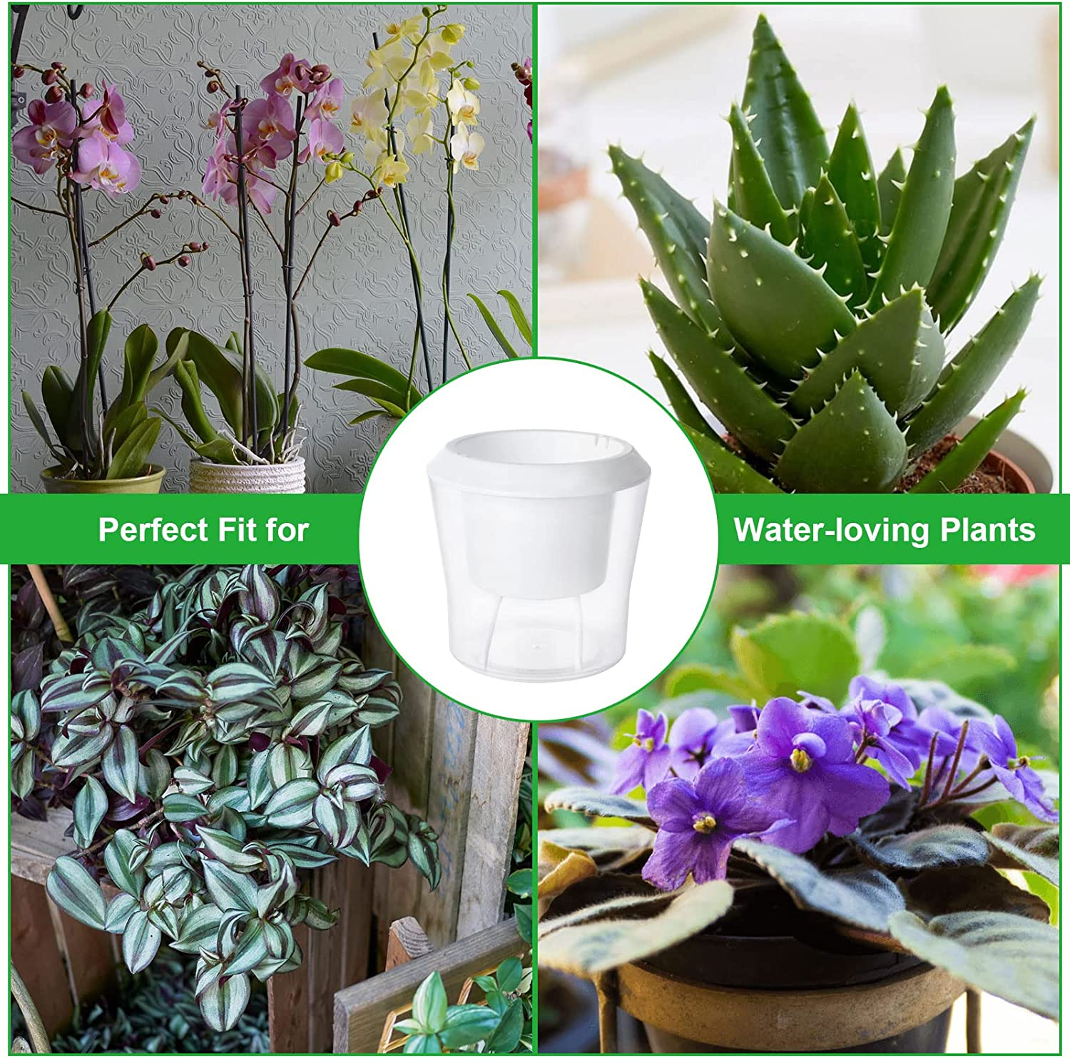 12 Pack Self Watering Pots for Indoor Plants 4.3 Inch Small Self-Watering Planter Pots with Water Level Indicator, Clear Plastic round Plant Pots for Succulent, Flowers, Herbs for Office Home Decor image number 2
