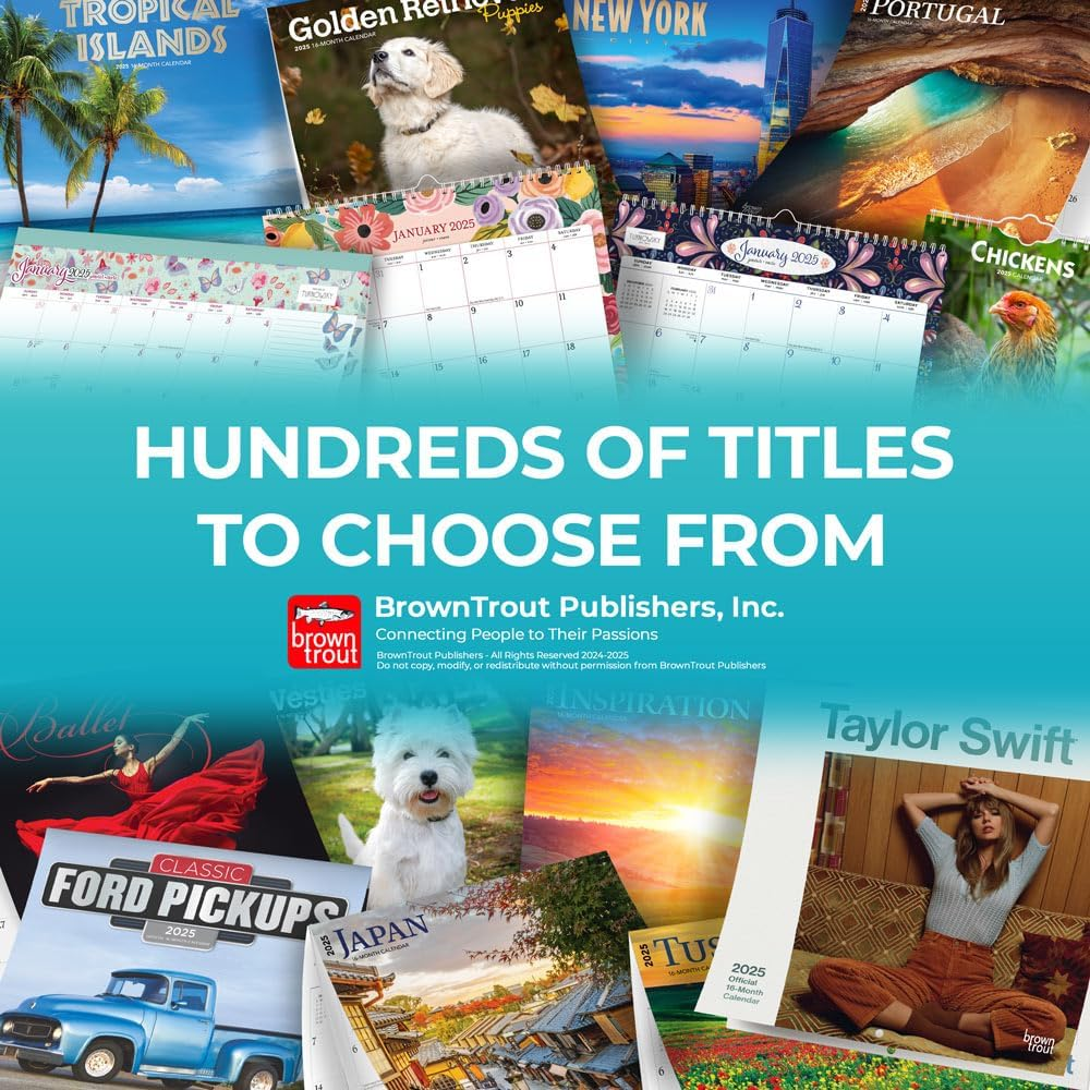 Greyhounds | 2025 12 X 24 Inch Monthly Square Wall Calendar | Plastic-Free | Browntrout | Animals Dog Breeds