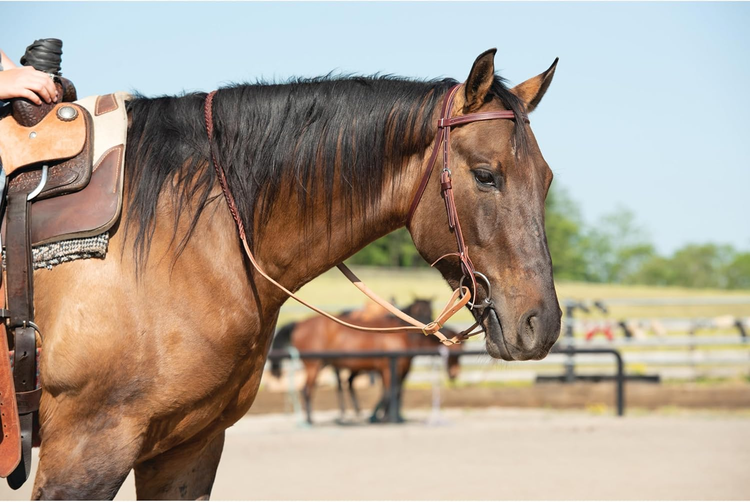 Weaver Leather Latigo Leather Browband Headstall