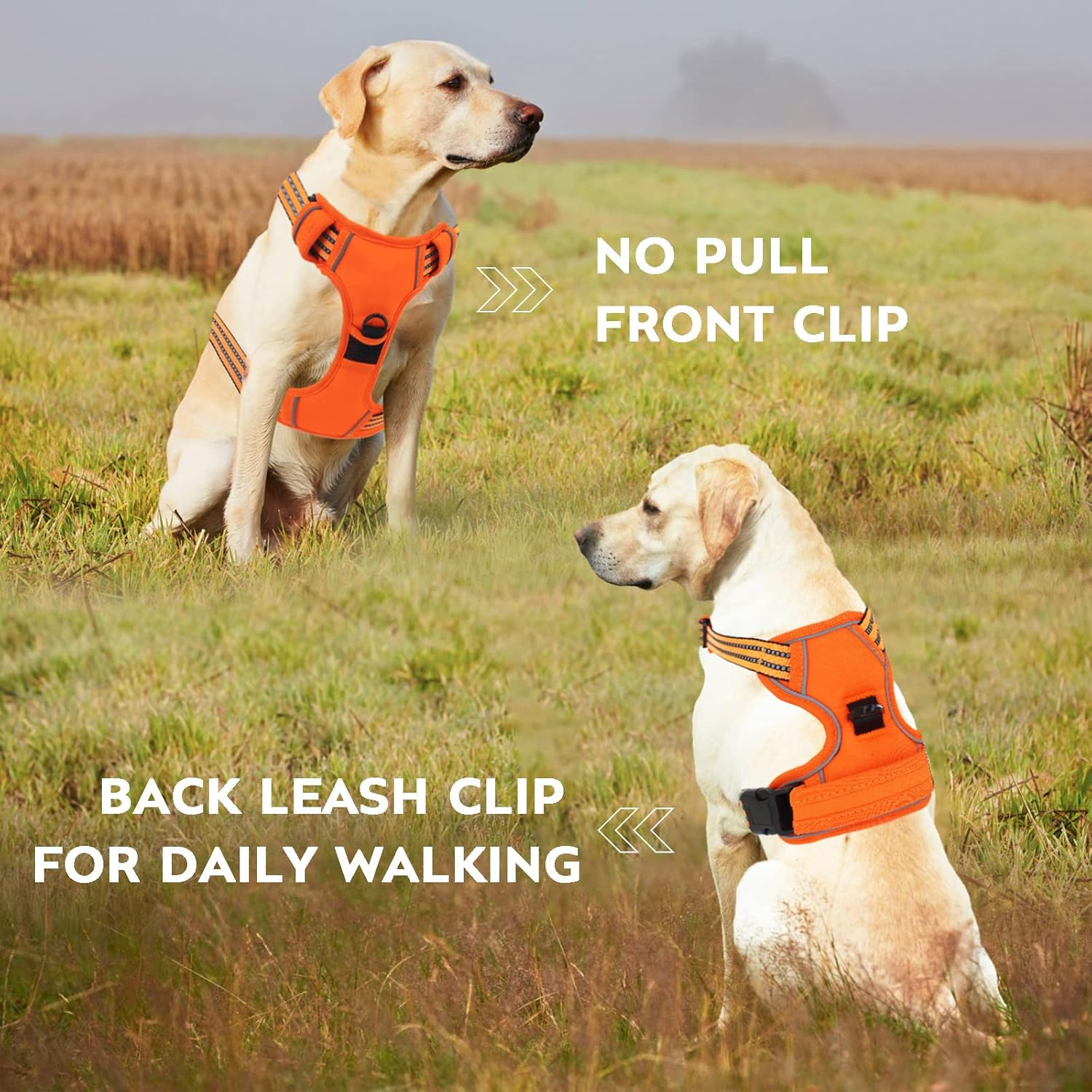 No Pull Dog Harness for Small Medium Large Dogs Adjustable Reflective Pet Vest with Front Clip Padded Harness for Dogs Easy Control Handle Best for Outdoor Training and Walking Orange S image number 2