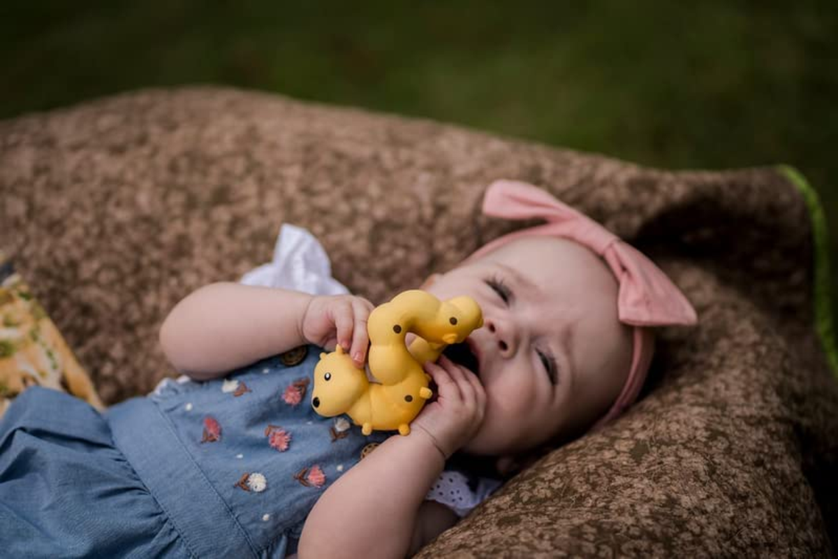 Tikiri Caterpillar Garden Friend Fully Enclosed All Rubber Bath Teether Toy