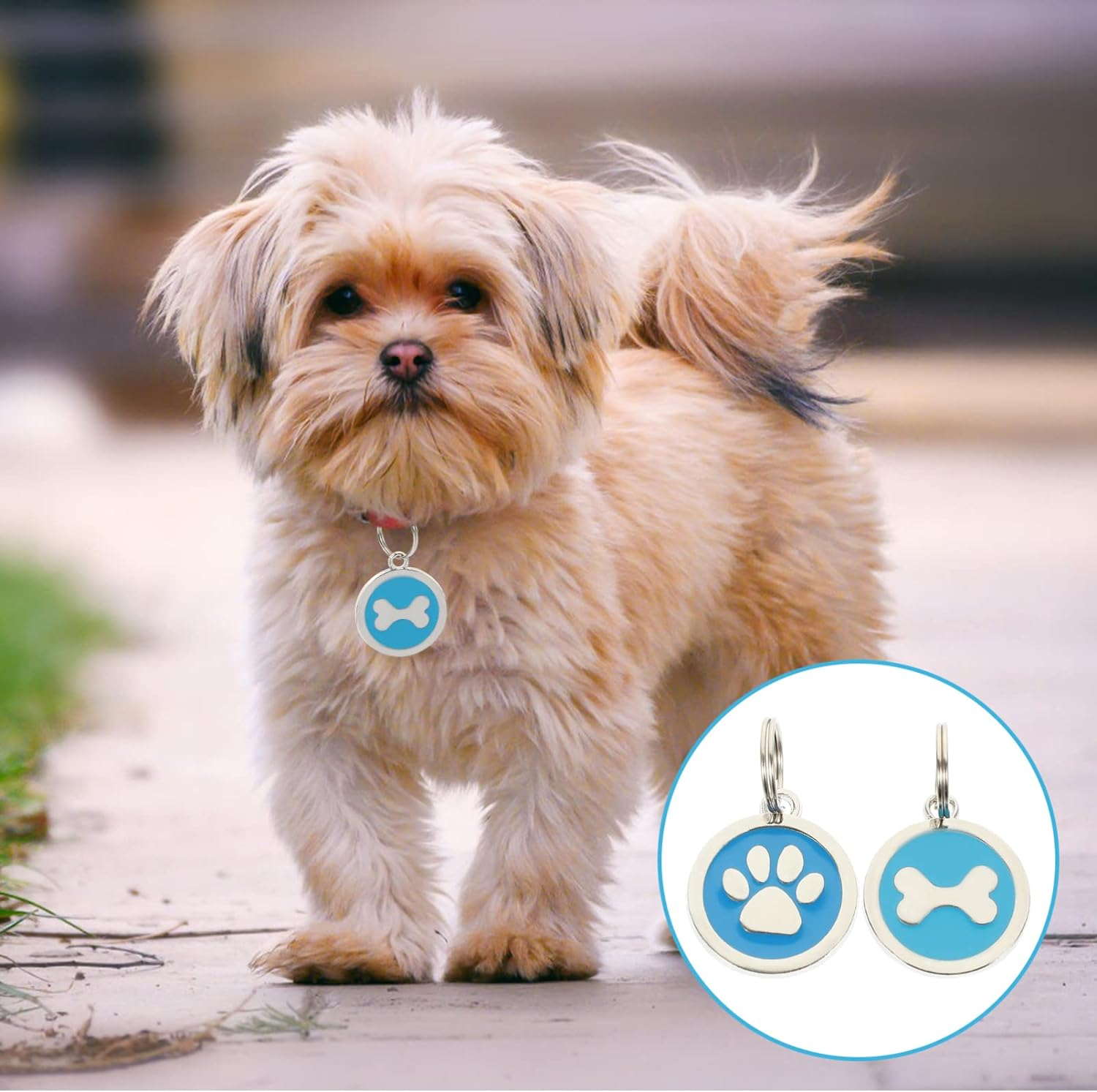 Mipcase Custom Labels round Labels Pet ID Tag 2Pcs: Dog Name Tag Engraved Dog Cat ID Tag Anti-Lost Tag Custom Tag Decorative Identity Collar Tag Tags Label