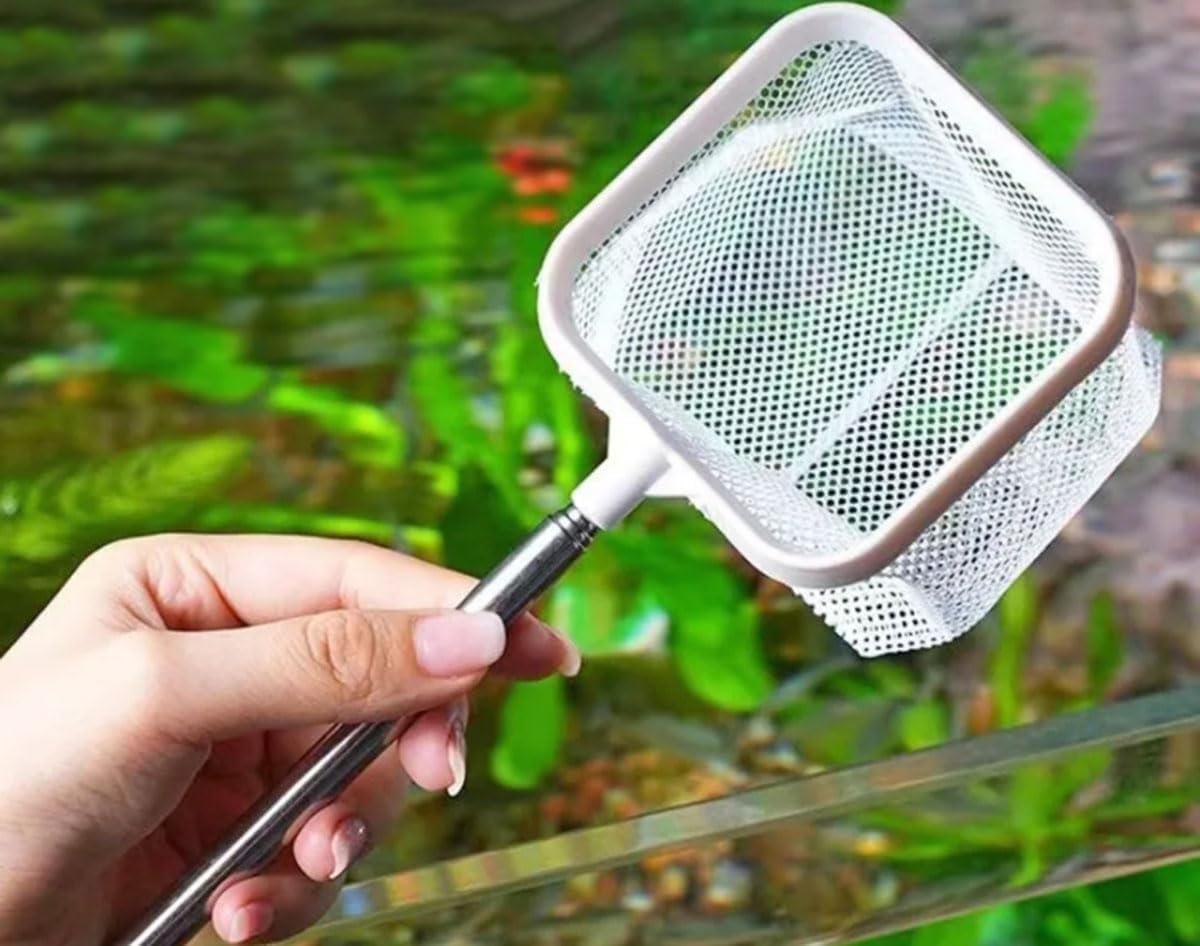 Mini Aquarium Square Fishing Net with Suction Cup Extendable Long Handle Fishing Gear for Catching Fish Shrimp Tank Clean Accessories image number 4