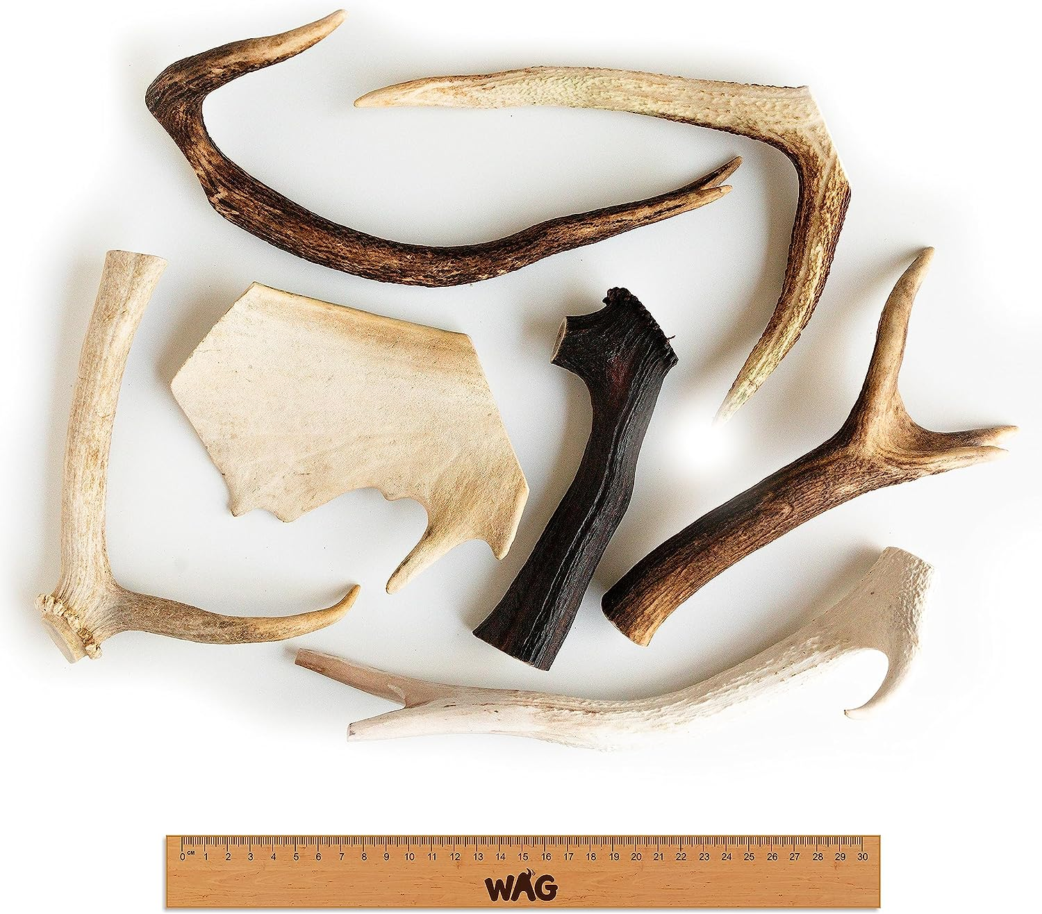 WAG Long Lasting Whole Antler Dog Treat, 4 Pack, Large image number 2