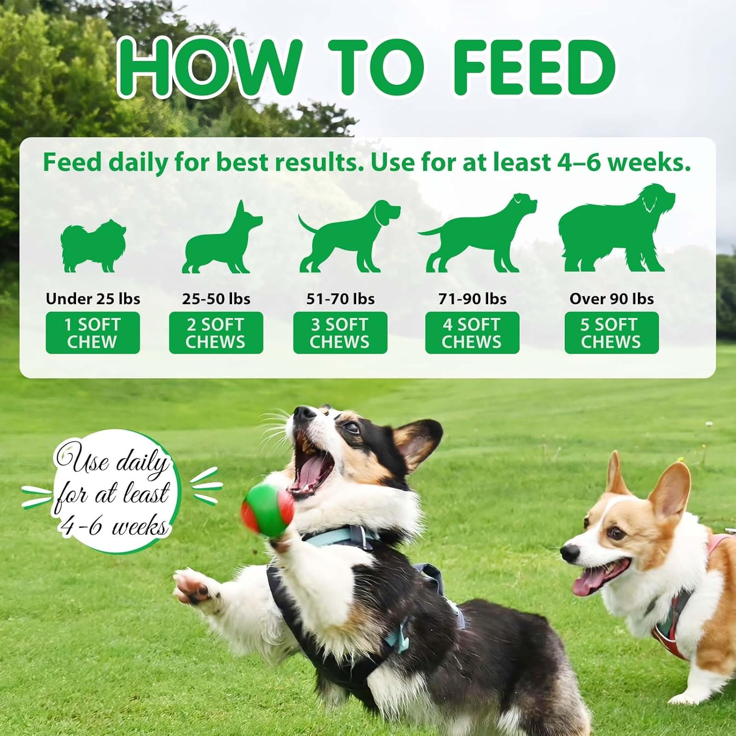 Probiotics for Dogs, Supports Gut Health, Itchy Skin, Allergies, Yeast Balance, Immunity, Probiotics and Digestive Enzymes for Small, Medium and Large Dogs, 120 Chewy Snacks, image number 4