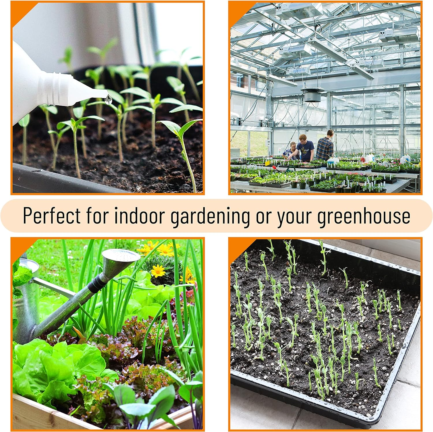 Mr. Pen- Plastic Growing Trays, 5Pack, Black, 17X10, Plant Tray, Seed Tray, Seedling Tray, Propagation Tray, Plant Trays for Seedlings, Planting Trays, Microgreens Growing Trays, Seedling Starter Tray image number 1