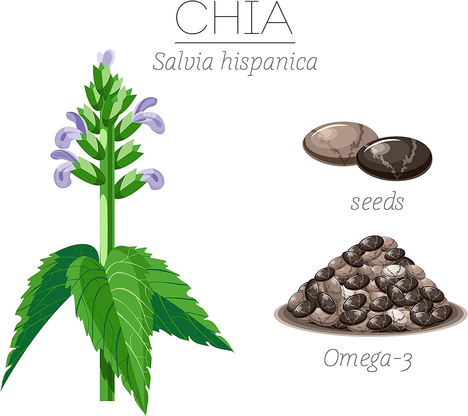 Lotus White Chia Seeds 125G image number 1