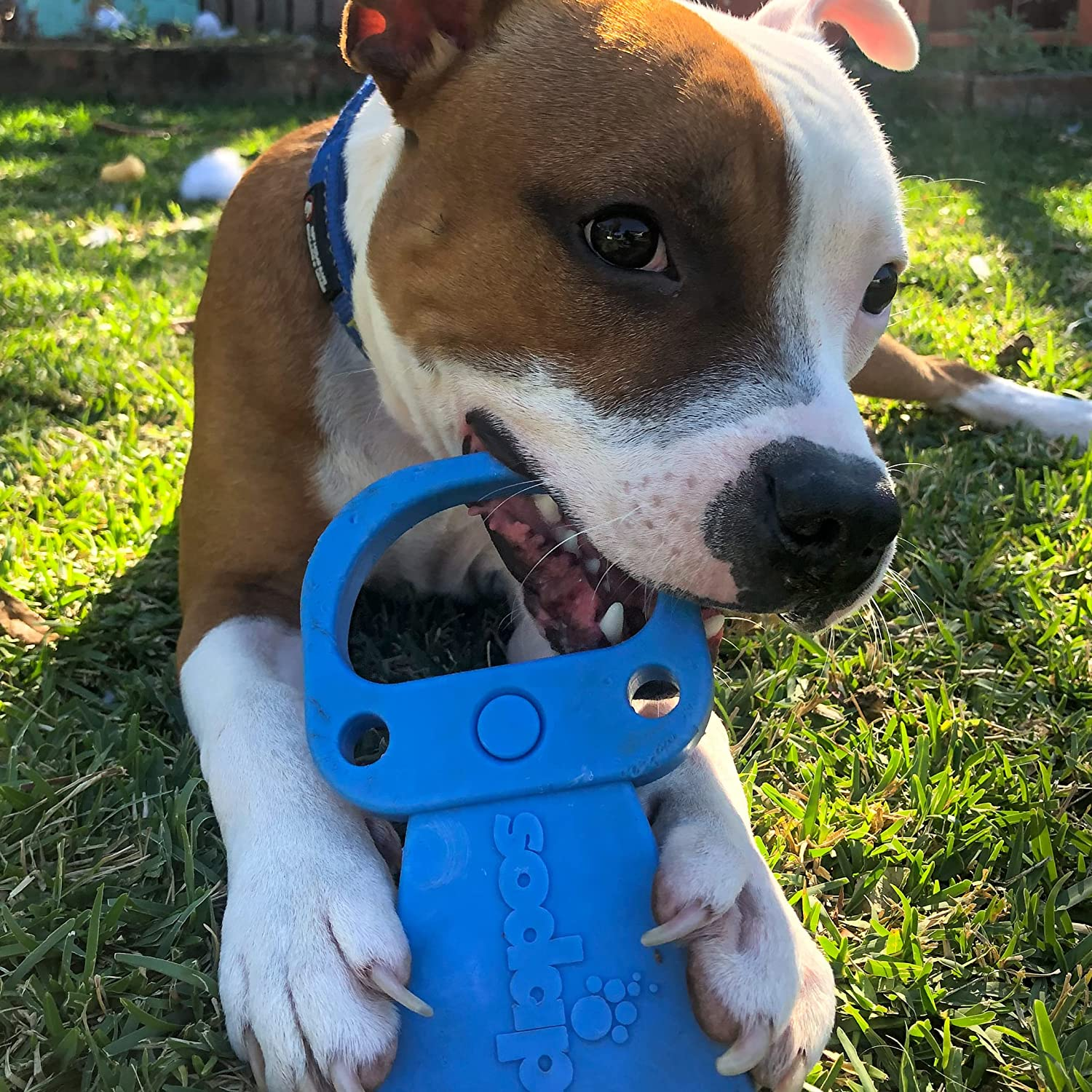 Sodapup Nylon Pop Top Pull Tab Power Chewer Toy- Blue. Ultra Durable Dog Chew Toy for Aggressive Chewers. Power Chew Toys for Those Dogs That Typically Wreck Everything in Minutes! image number 1