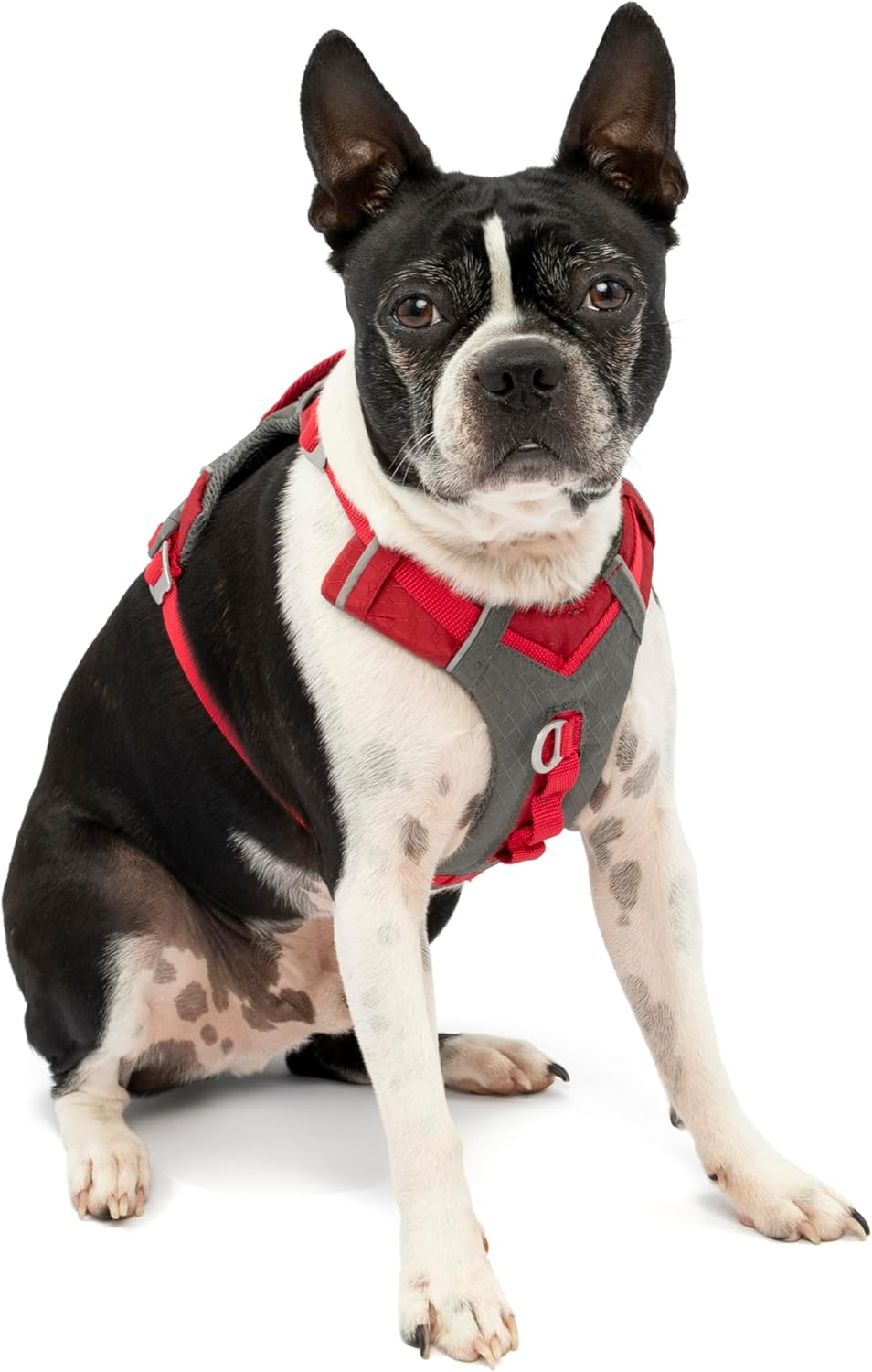 Kurgo Journey Air Dog Harness, Vest Harnesses for Dogs, Pet Hiking Harness for Running & Walking, Reflective, Padded, Includes Control Handle, No Pull Front Clip (Red, Small) image number 1
