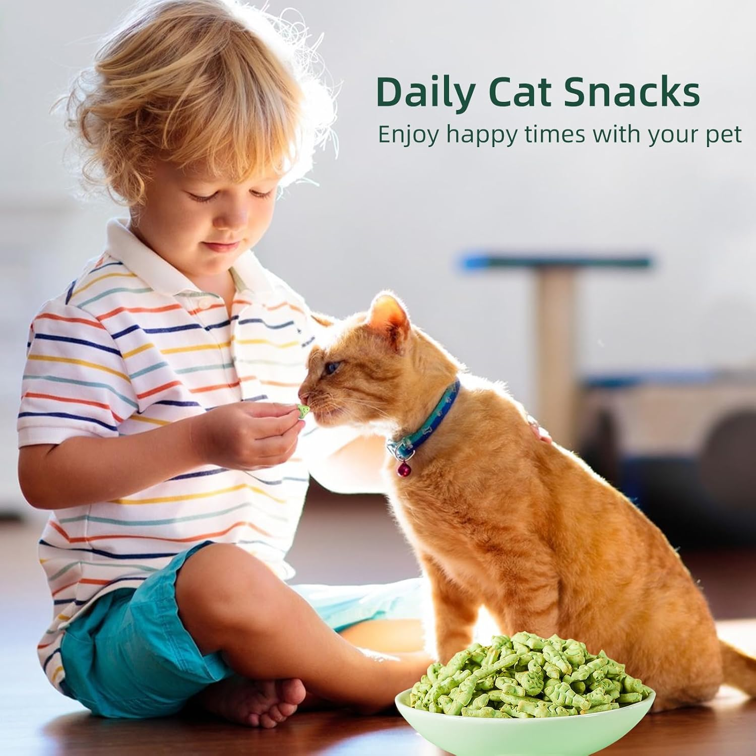 Cat Hairball Treats, Kitty Teeth Cleaning Catnip for Indoor, 16 Oz, Fish Shape Cat Nip Dry Food, Healthy Chicken and Salmon Flavor Grass Biscuits image number 1