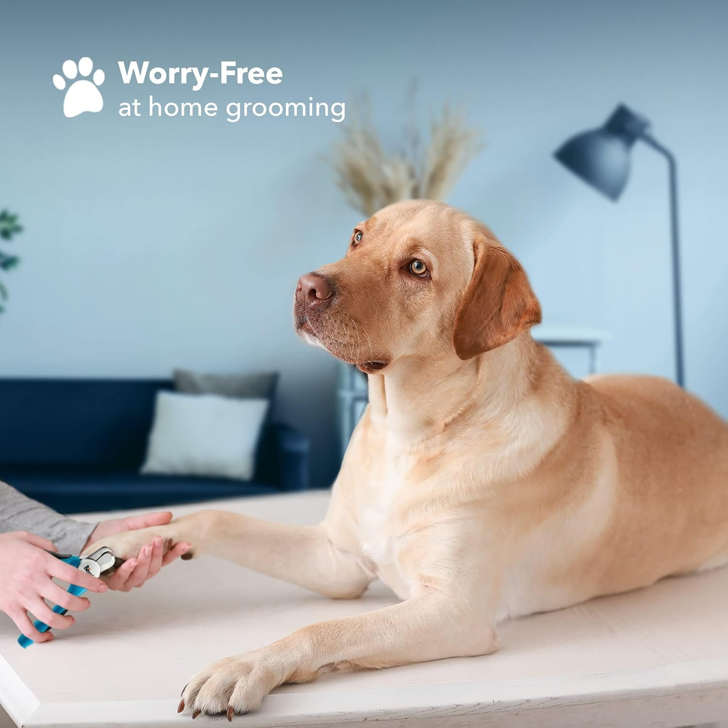 Dog & Cat Pets Nail Clippers and Trimmers - with Safety Guard to Avoid Overcutting, Free Nail File, Razor Sharp Blade - Professional Grooming Tool for Pets