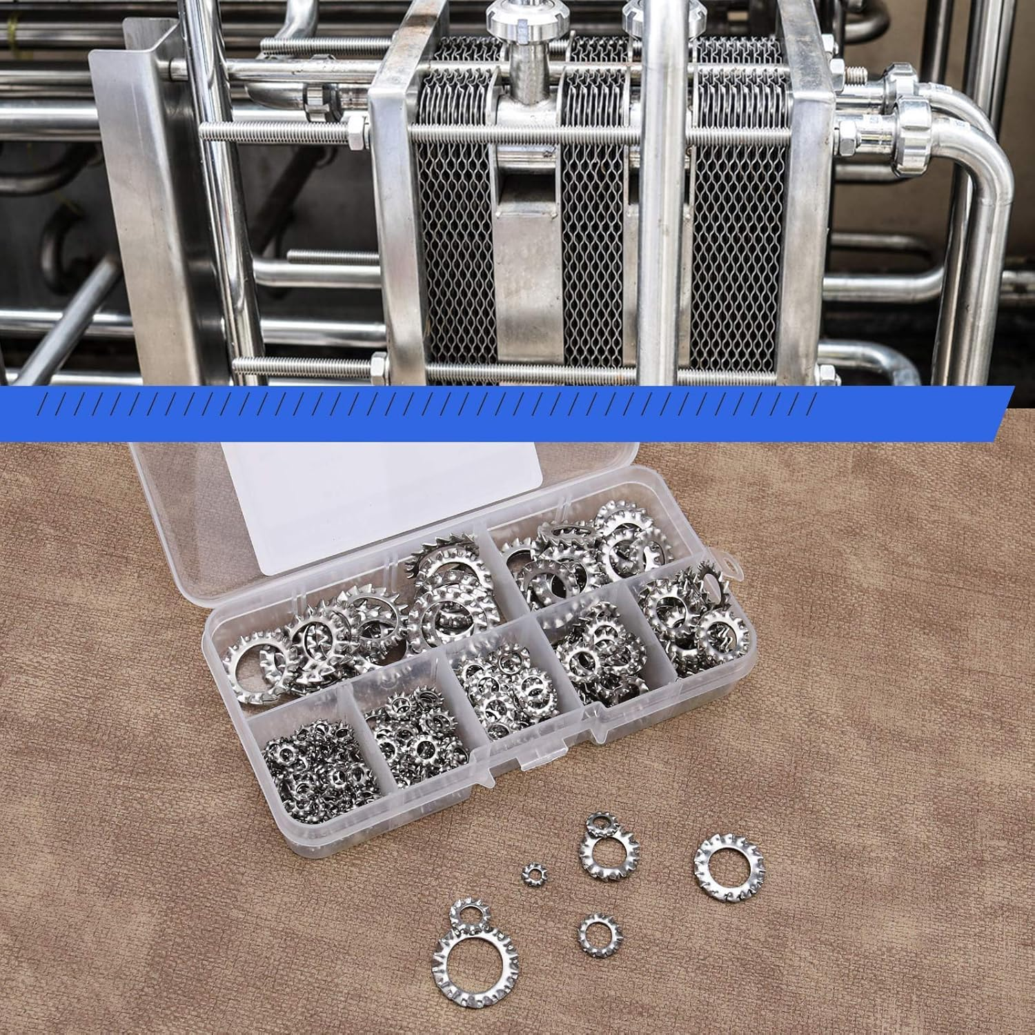 Emsea 300Pcs M3-M12 External Serrated Lock Washers Assortment Set with Storage Box M3 M4 M5 M6 M8 M10 M12 304 Stainless Steel