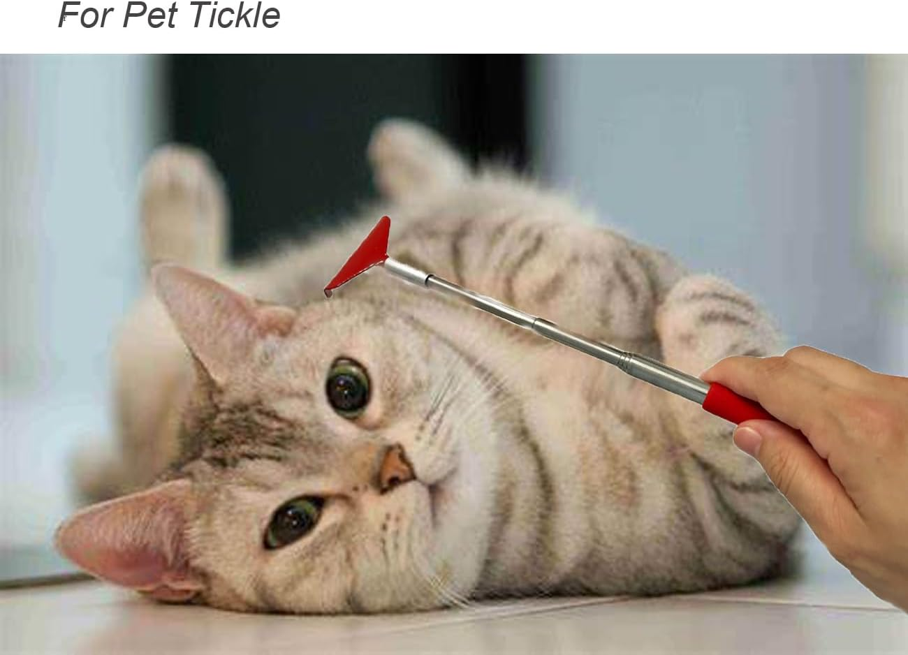 Back Scratcher, Portable Extendable Stainless Steel Telescoping Back Massager for Adults Men Women Itch Relief with Rubber Handle (Red) image number 5