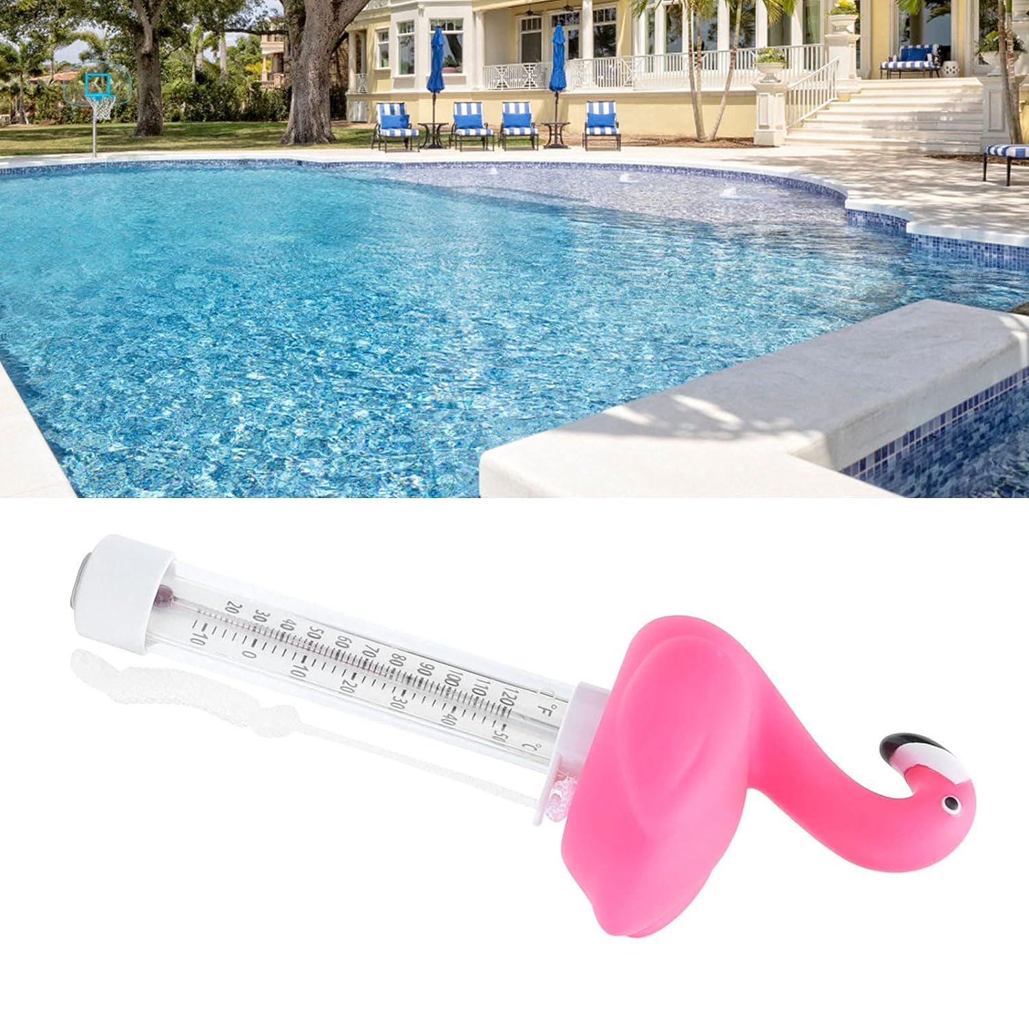Jiawu High Accuracy Floating Pool Thermometer, Large Size Thermometers Easy to Read, Display Fahrenheit and Celsius, Shatter Resistant with String for Outdoor and Indoor Swimming Pool, Animal Shaped image number 1