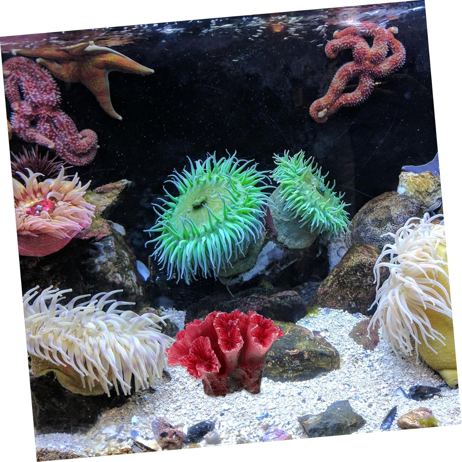 Generic Artificial Coral Decor for Fish Tanks - Realistic Aquarium Decorations - Fake Coral Reefs for Saltwater and Freshwater Tanks - Artificial Aquarium Plants and Accessories - Fish Tank image number 4