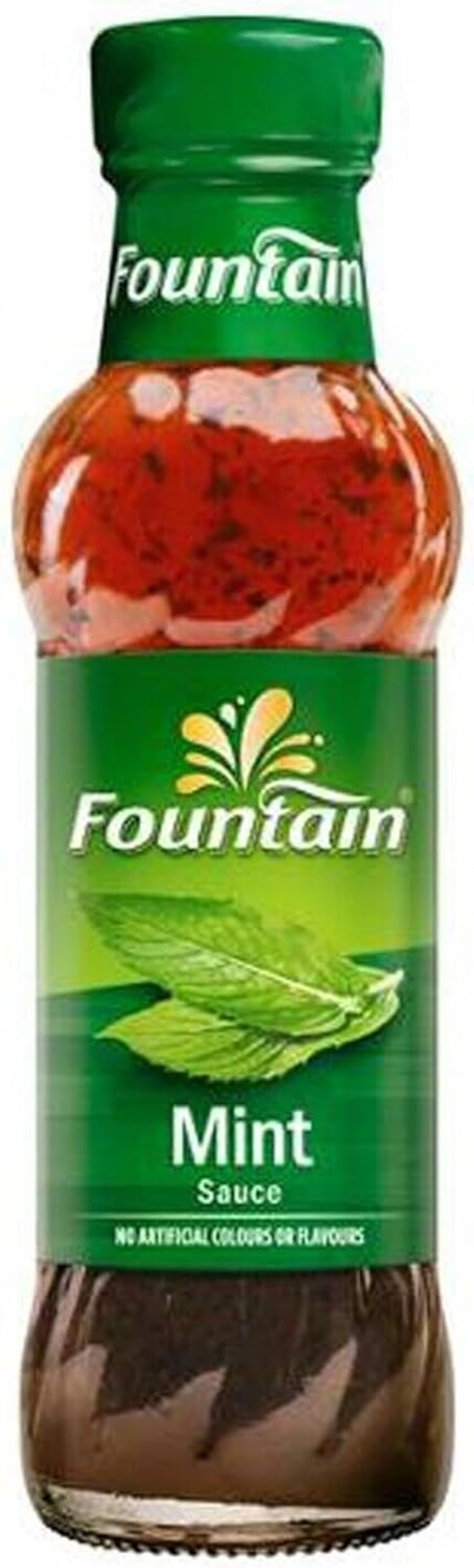 Fountain Mint Sauce Dipping and Marinade Fountain Sauces 250Ml image number 5