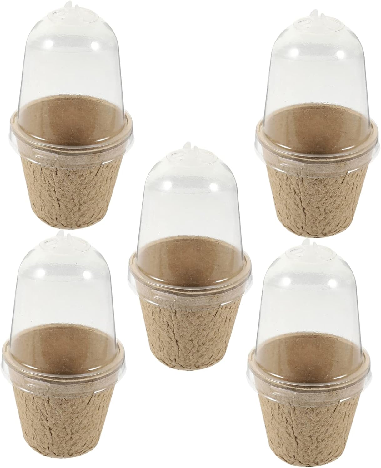 20Pcs Pulp Seedling Cups Plant Containers for Succulent Bonsai Garden Nursery Pots image number 1