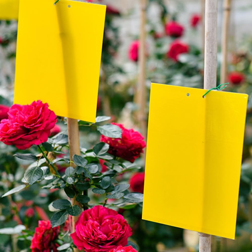 20 Pack Sticky Trap, H HOME-MART Dual-Sided Yellow Sticky Traps,Fruit Fly Trap Indoor,Gnat Traps,15X20Cm, Twist Ties Included for Flying Plant Insect like Fungus Gnats, Flying Aphid, Leaf Miners image number 5