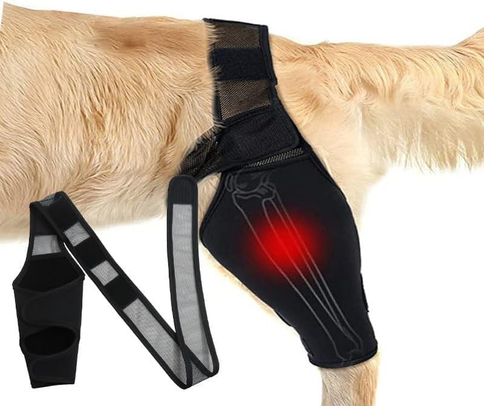 Dog Knee Brace for Torn ACL Hind Leg, Dog Leg Support Brace Breathable Dog Back Leg or Rear Leg Protector, Dog Leg Brace for Better Recovery Dog ACL Brace Hind Leg Adjustable (Black, XL) image number 2
