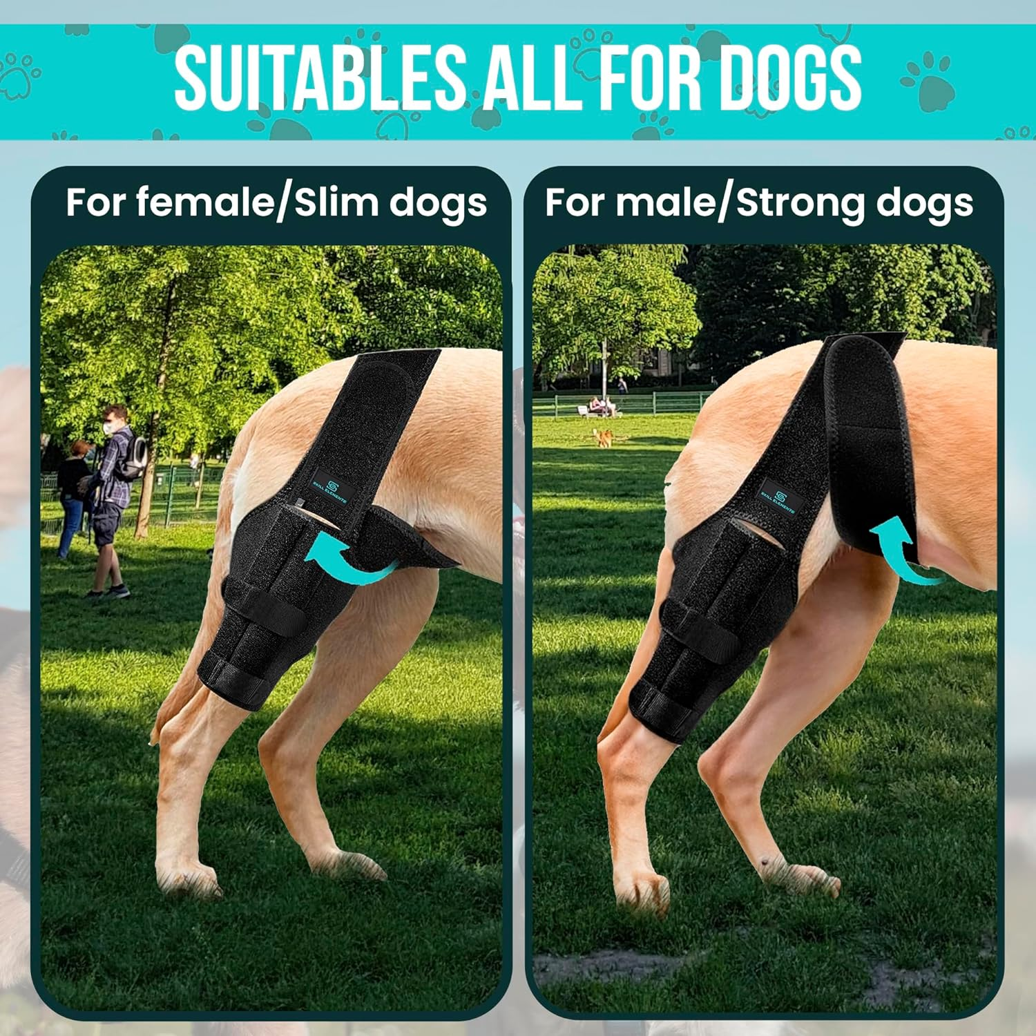 Dog Leg Braces for Back Leg - Dog Knee Brace for Support with Cruciate Ligament Injury, Joint Pain and Muscle Sore,- Dog Knee Brace for Torn ACL Hind Leg Adjustable Rear Leg Braces (Medium) image number 2