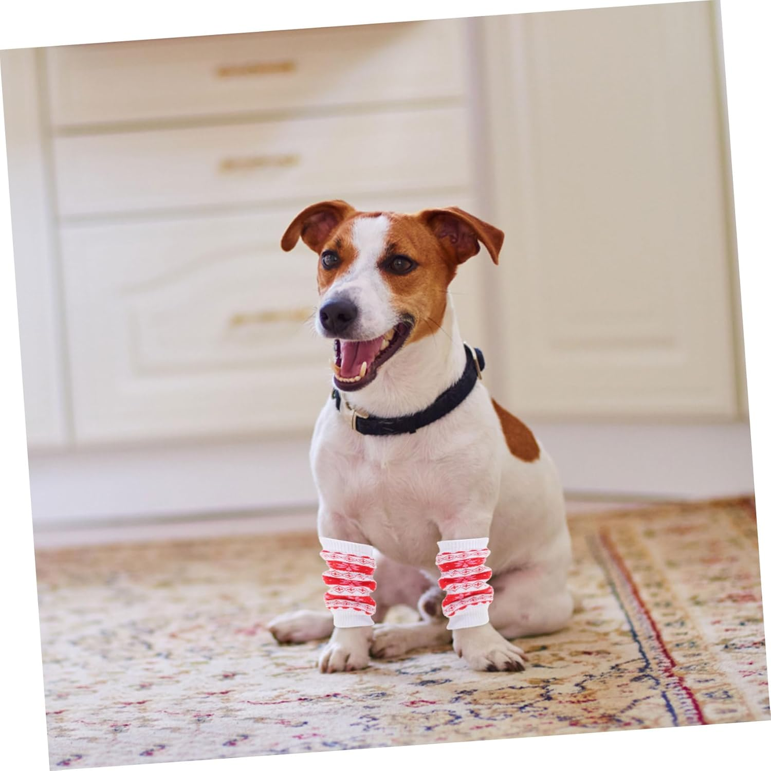 NOLITOY 4Pcs Pee Leg Muffs Pet Leg Sleeve for Snow Gear Warm Knee Pad for Kneeling Pad image number 6