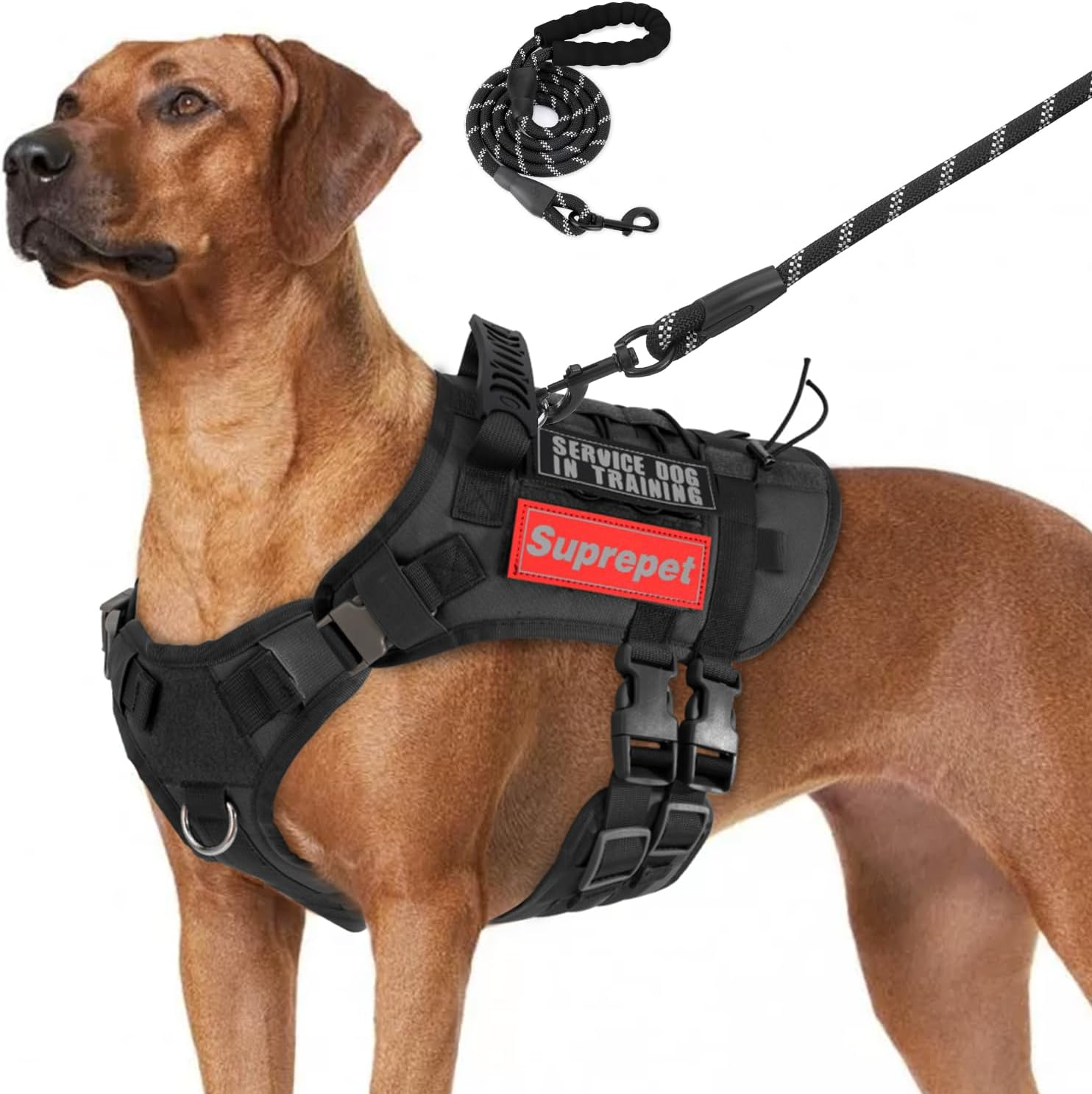 AUTOWT Tactical Dog Harness with Leash and Patches - Service Dog Vest with Rubber Handle and Dual Buckle for Running Training Walking - No Pull Dog Harnesses for Small Medium Large Dogs (Black, M) image number 6