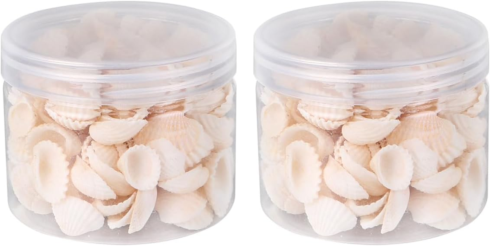 SEWACC 2Pcs Natural Shell Scallop Canned Small White Seashells Micro Landscape Decor Sea Shells Mixed Wishing Bottle Clam Shells for Crafts Beach Shells Seashells for Crafts Sandbag Large image number 2