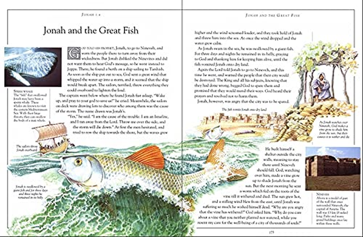 The Children'S Illustrated Bible image number 1