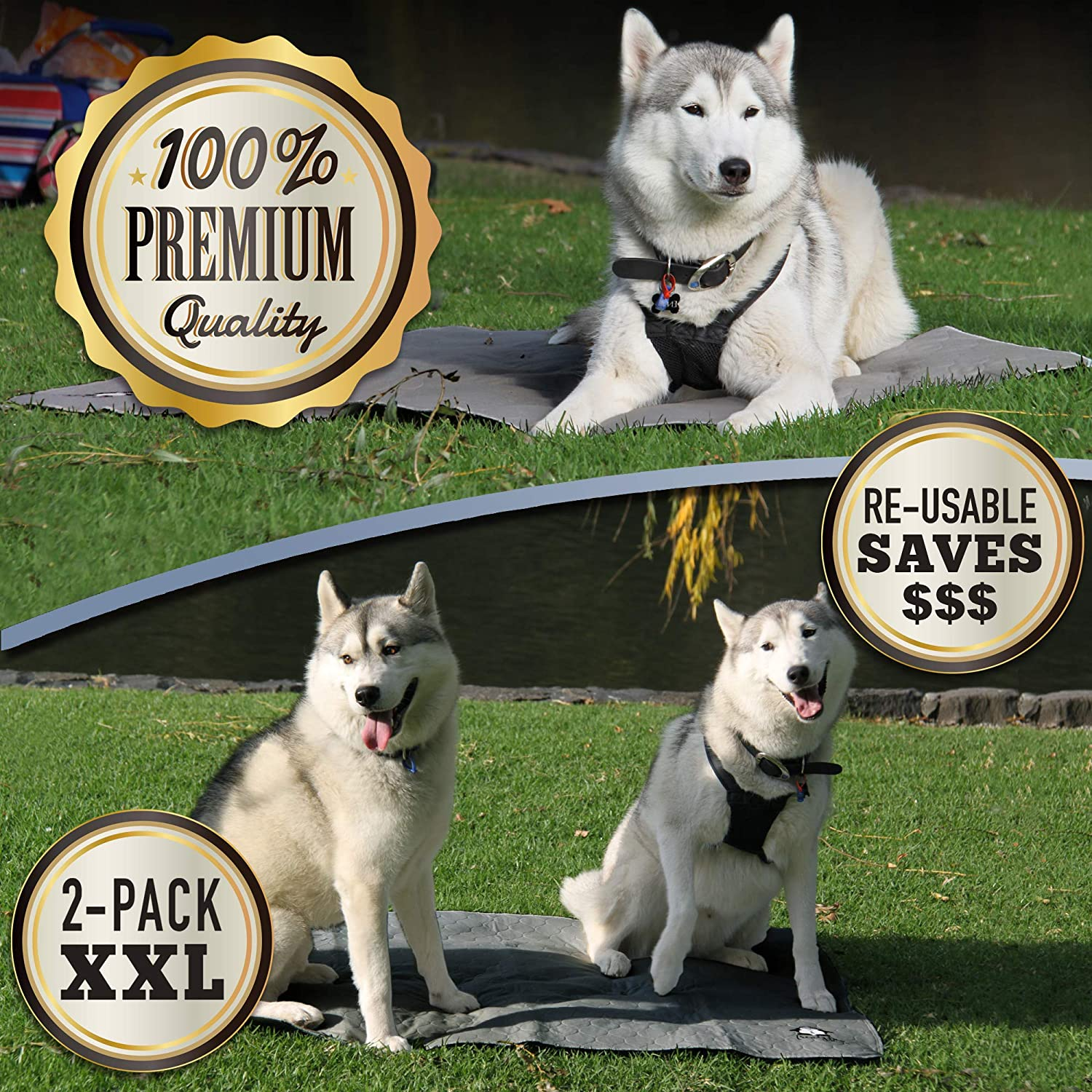 Washable Pee Pads for Dogs XL (2 Pack), Reusable Puppy Training Pads, Ultra Absorbent & Waterproof Pet Mat for Senior Dogs, Non-Slip, Floor & Furniture Protector (122Cm X 92Cm) by Trendy Den Creations image number 6