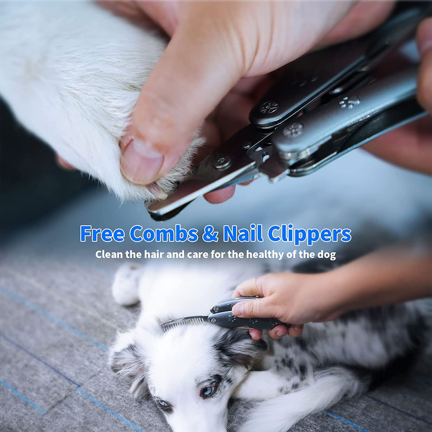 Dog Nail Clippers for Sensitive Dog, Sharpest Dog Nail Trimmer [Cut the Nails like Butter] Low Noise, Heavy Duty Dog Toenail Clippers for X Large Medium Small Size Breed < 300Lb with Thick Nail image number 4