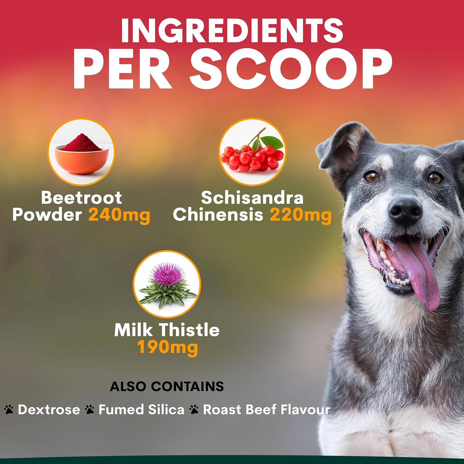 Petz Park Liver Support for Dogs - Dog Supplements Made in Australia - Milk Thistle Supplement for Dogs, Liver Detox - 90 Scoops image number 6