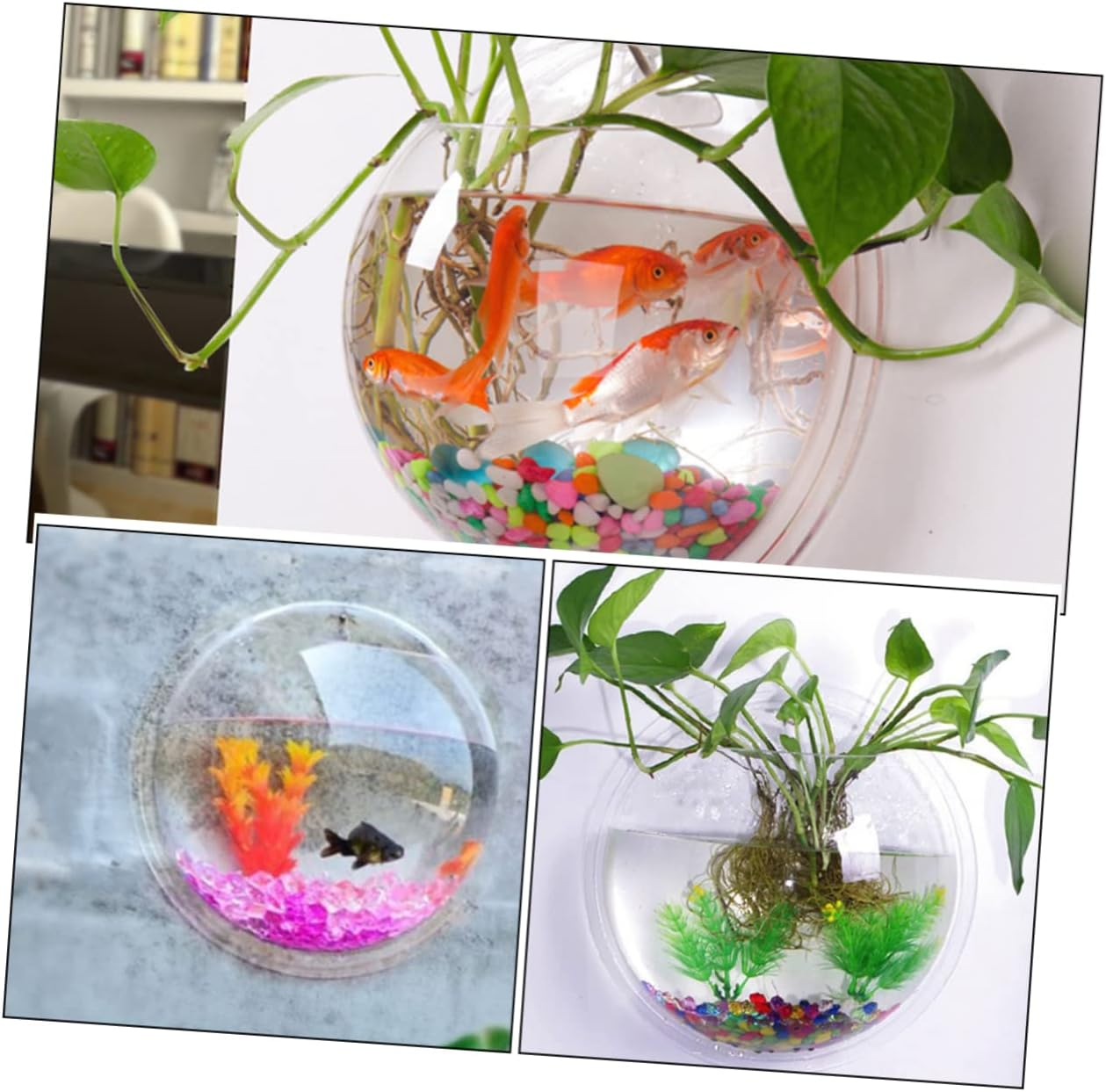 GANAZONO Wall-Mounted Acrylic Fish Bowl Planter Clear Hanging Plant Pot Decorative Tank for Home Decor Modern Hydroponic Container for Weddings and Parties image number 3
