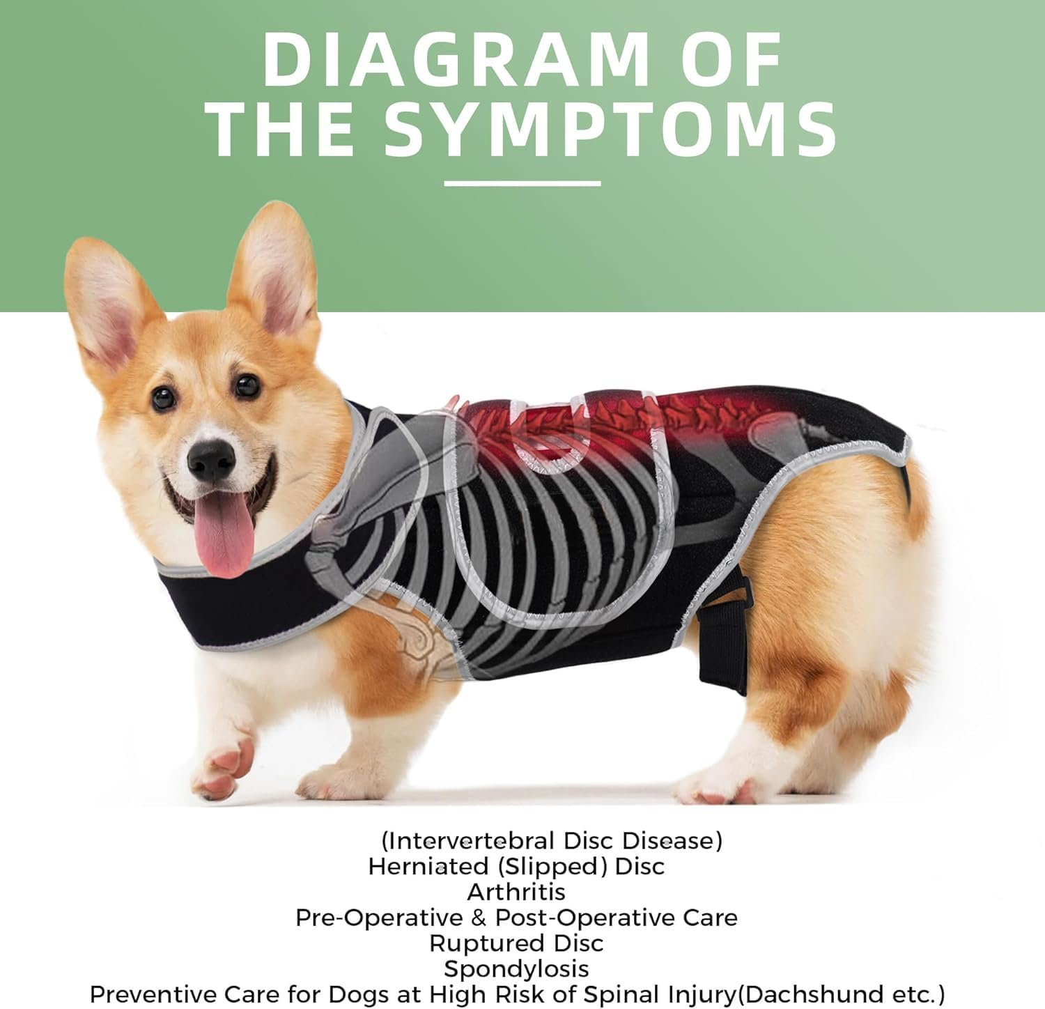Dog Back Support Arthritis & Pain Relief, Dog Back Support for Accelerated Surgical Recovery, Dog Back Support for Preventing Back Problems in Small Dogs and Large Dogs (Black, S) image number 3