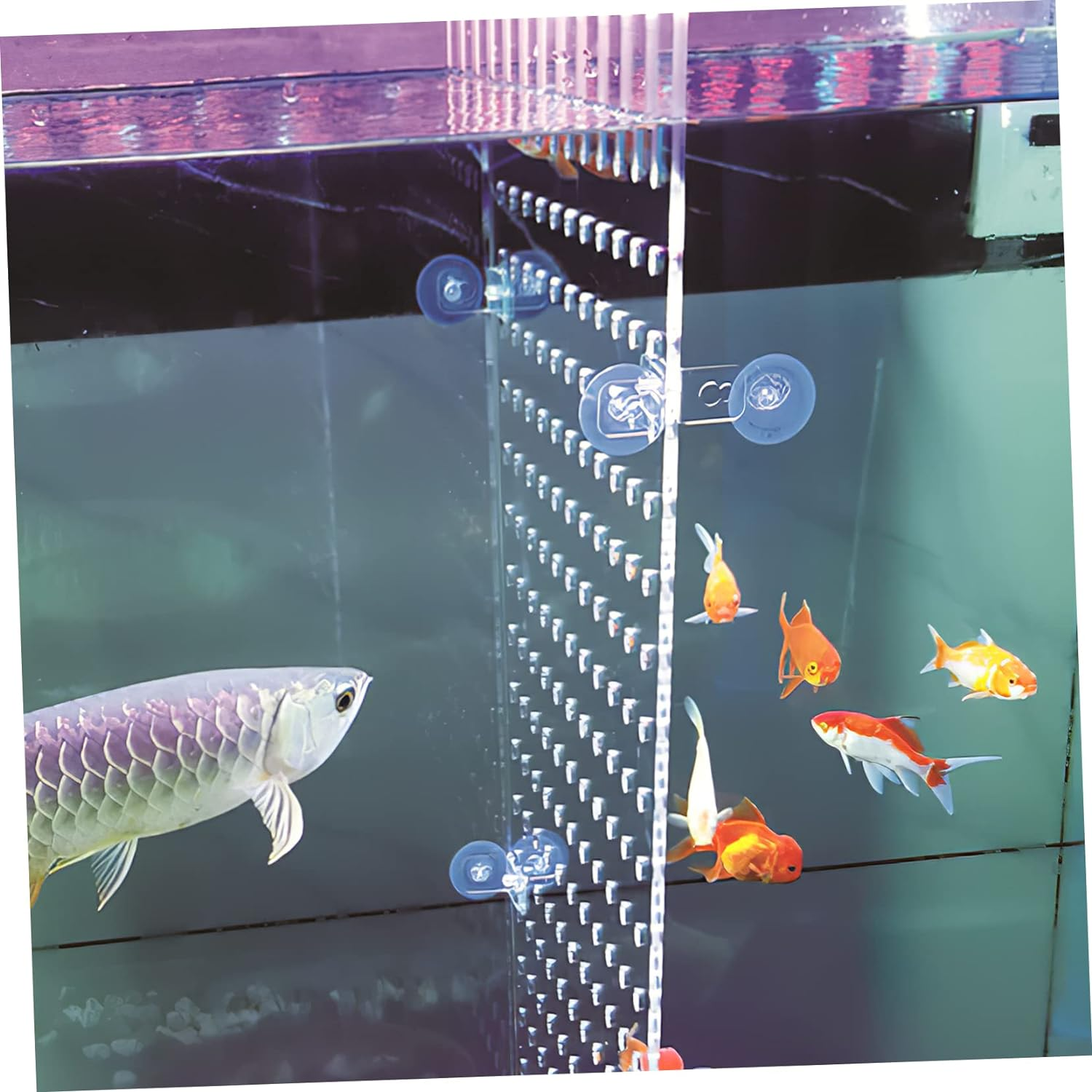 Fish Tank Board Fish Tank Divider 20 Gallon Fish Tank Separator Aquarium Divider Clear Betta Fish Tank Aquarium D&eacute;cor Tank Dividers Acrylic Equipment Water Tank image number 6