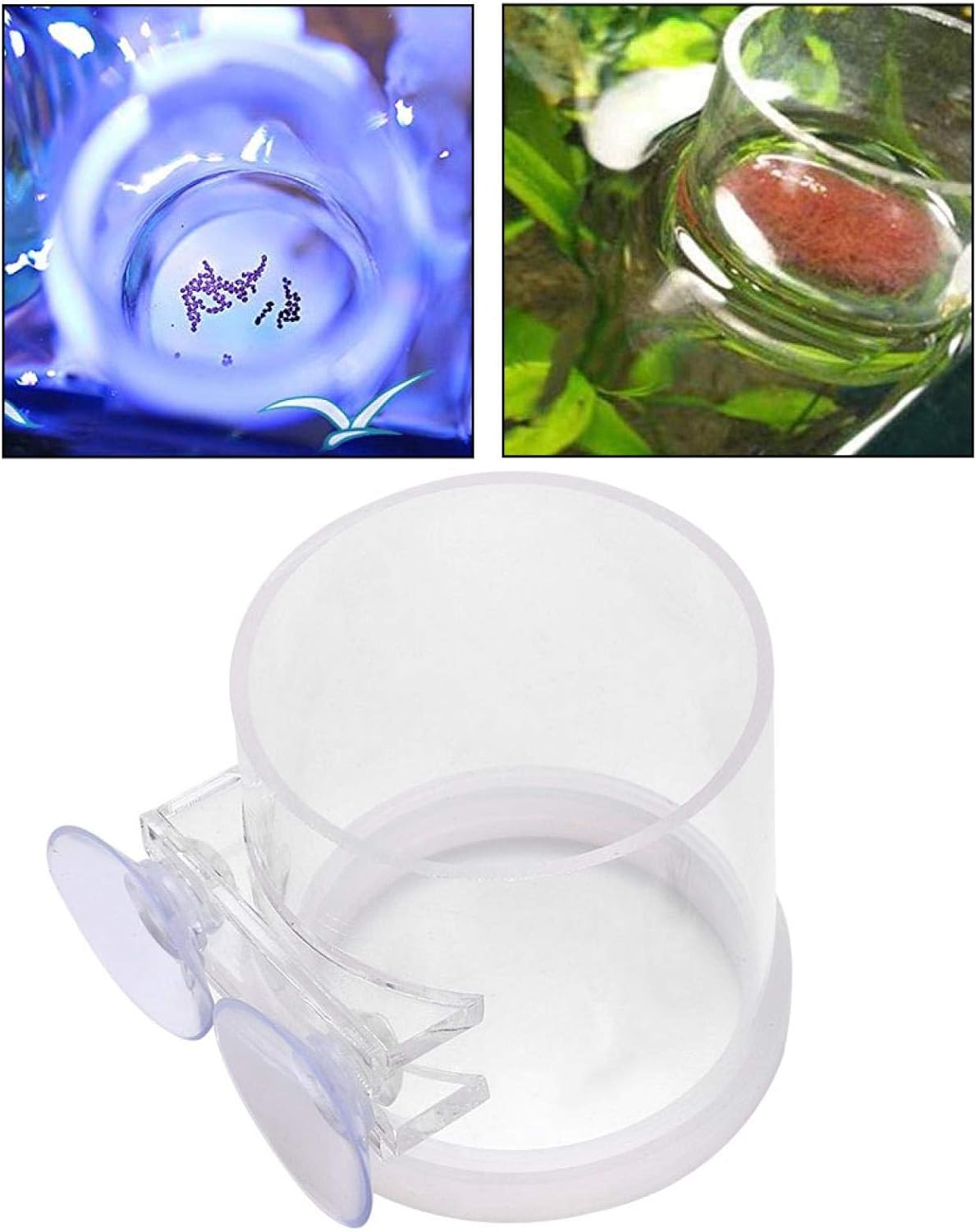 01 Fishing Feeder, Acrylic Automatic Fish Feeder with Suction Cup for Pond Fish Aquarium