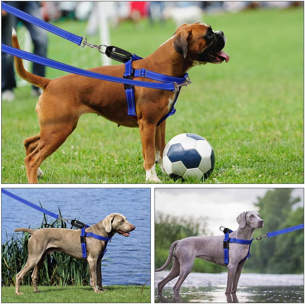 Freedom Dog Harness with Leash,Large, Medium, and Small Dog Pet Chest and Back Straps with Nylon Dog Leash Vest Style Chest and Back (Blue, S) image number 1
