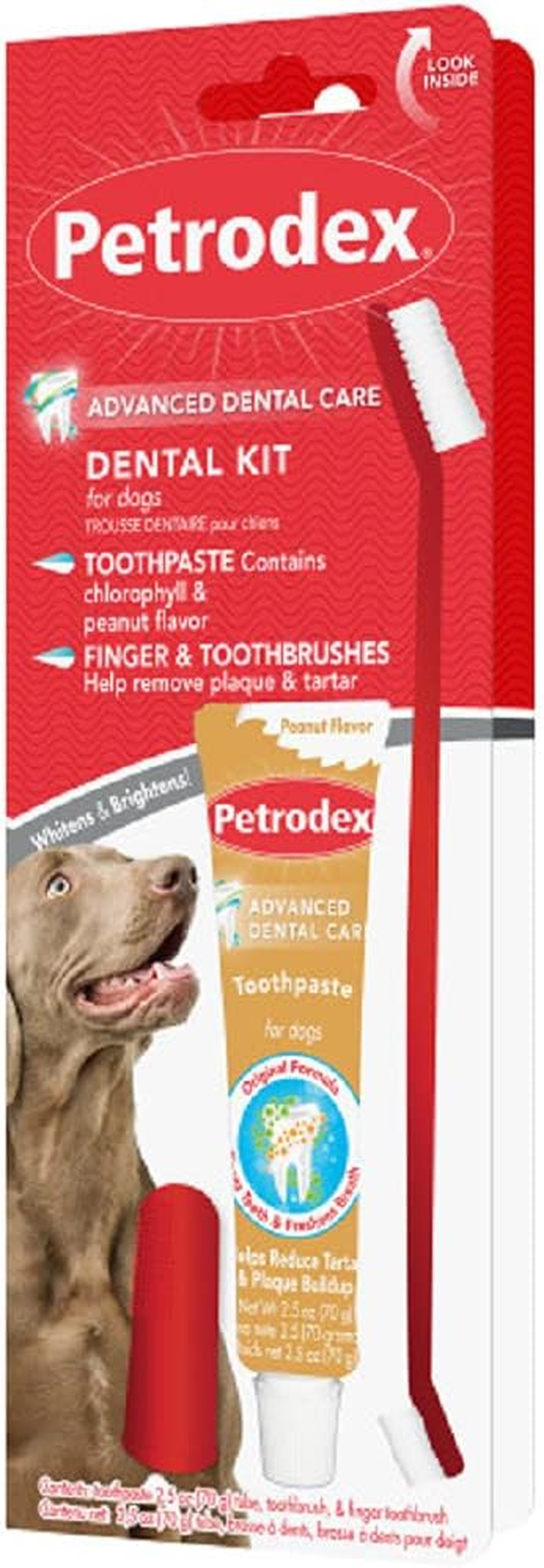 Petrodex Dental Care Kit for Dogs, Toothpaste and Toothbrushes, Peanut Flavor, 3 Piece Set