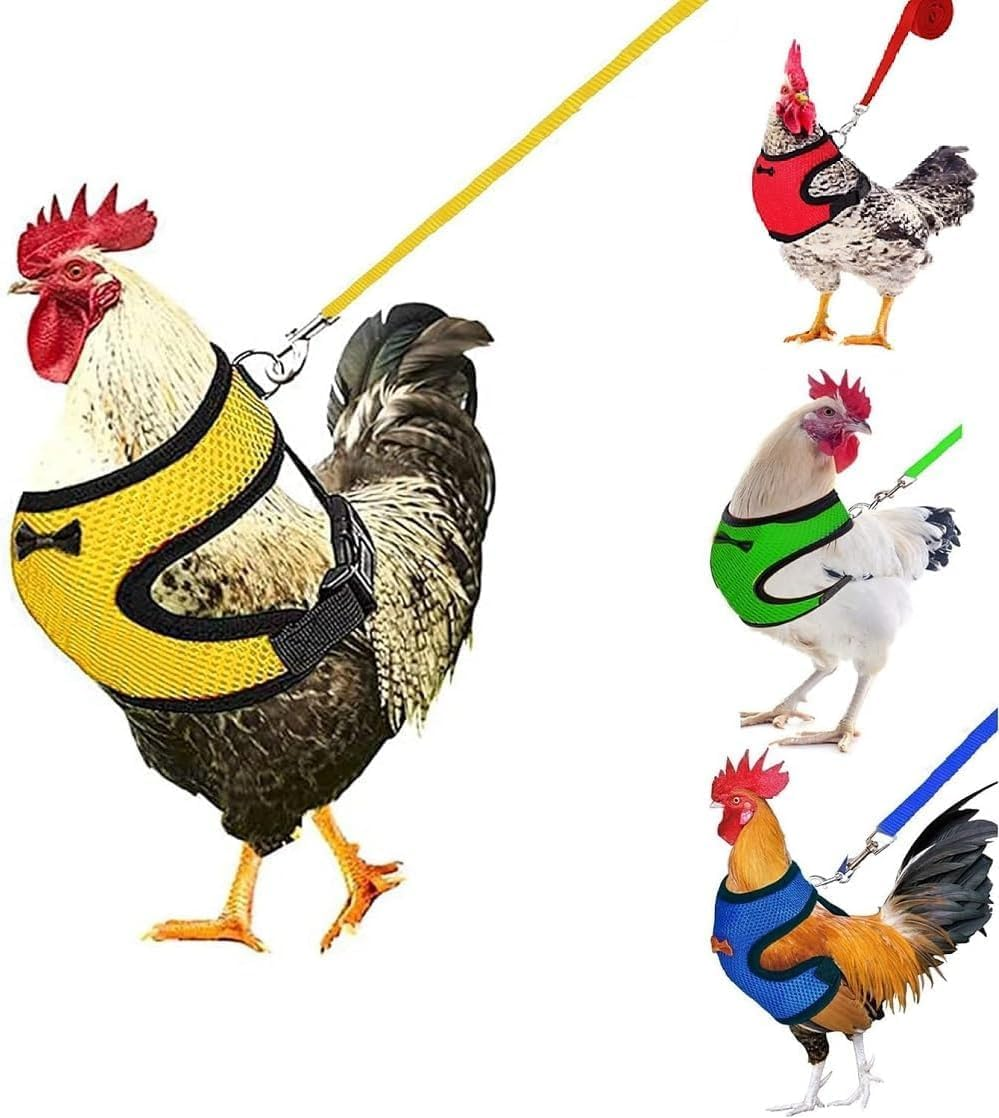 4Pcs Chicken Harness and Leash Set with Adjustable Upgrade and Improvement Breathable Comfortable Chicken, Duck, Goose as Gifts for Festival (Yellow&Red&Green&Blue, S) image number 1