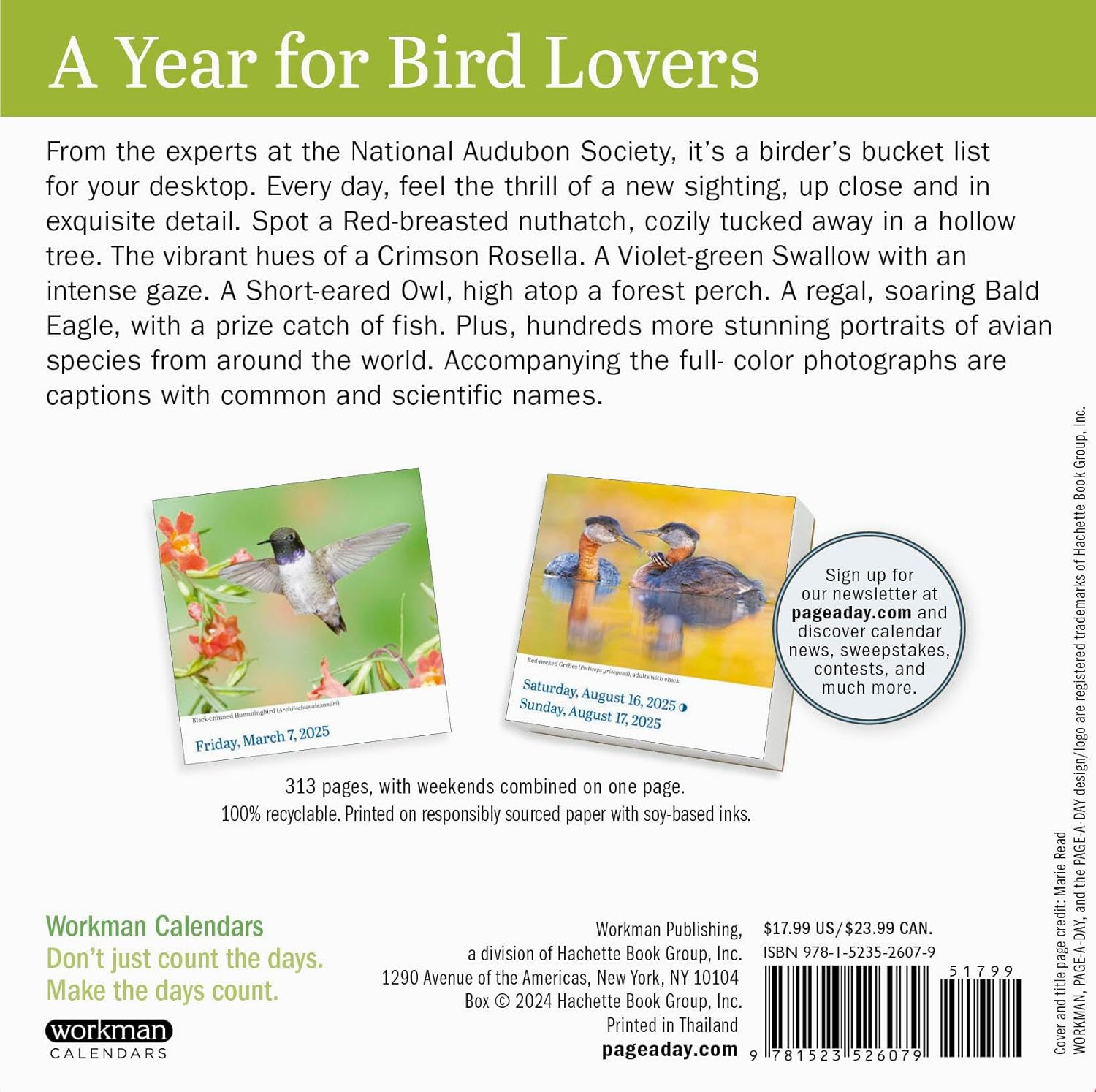 Audubon Birds Page-A-Day Calendar 2025: the World'S Favourite Bird Calendar
