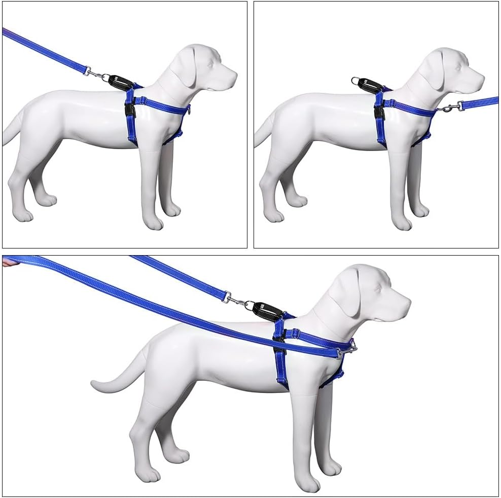 Freedom Dog Harness with Leash,Large, Medium, and Small Dog Pet Chest and Back Straps with Nylon Dog Leash Vest Style Chest and Back (Blue, S) image number 4