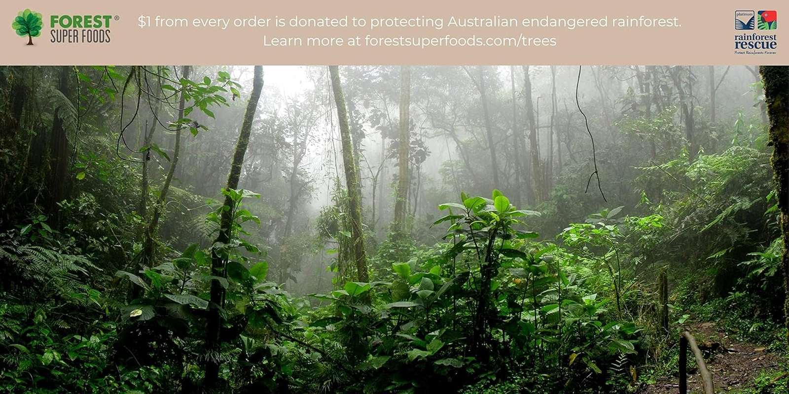 Forest Super Foods Bee Repair Balm | 60G | All Natural | Great for Everything Including Chaffing, Dry Lips and Hands and Repair Cracked Skin