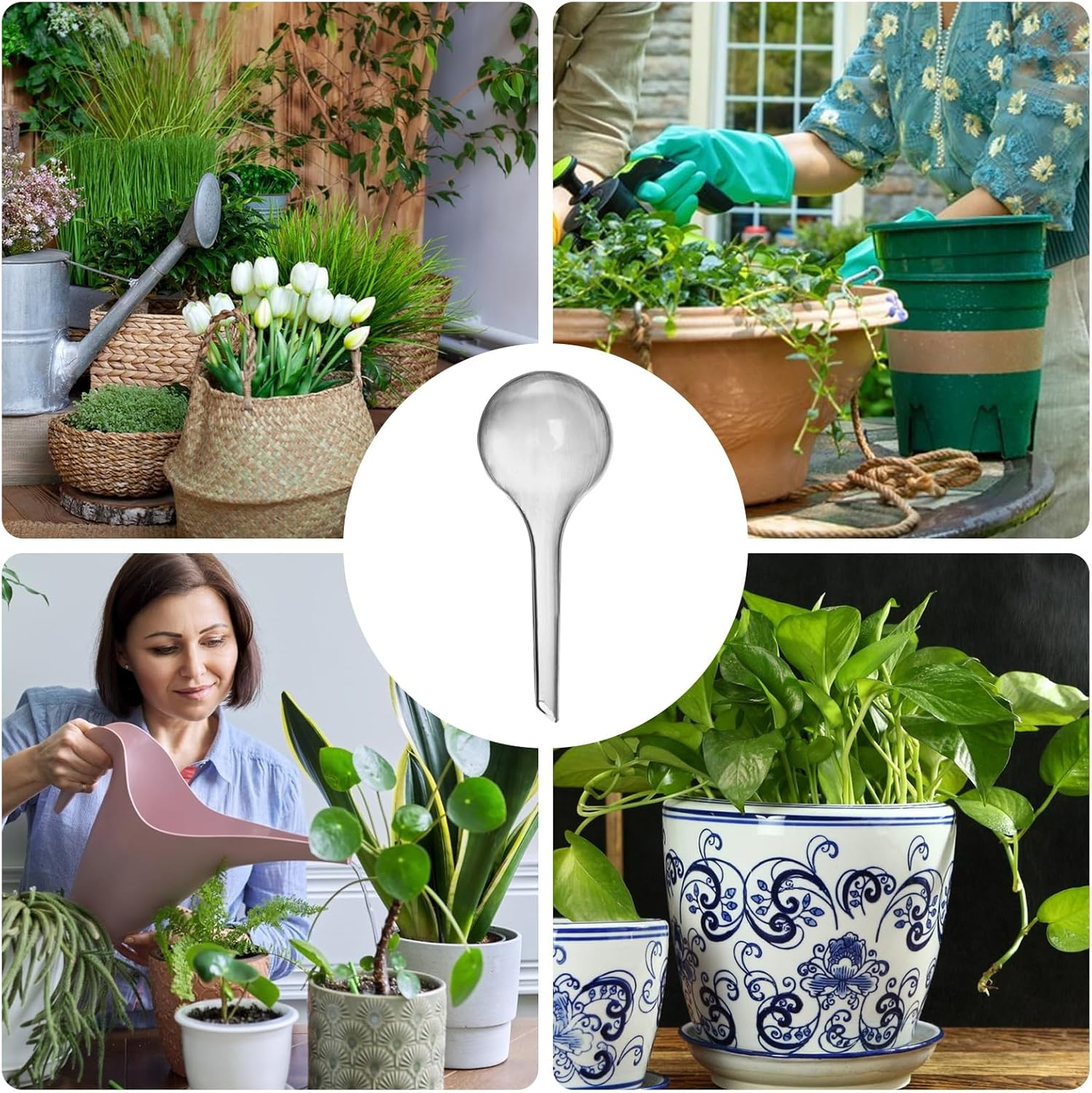 Watering Globes for Indoor Plants - Watering Clear Watering Bulb - Gardening Supplies, Multifunctional Decorative Irrigation Tools for Indoor Outdoor Garden Potted image number 1