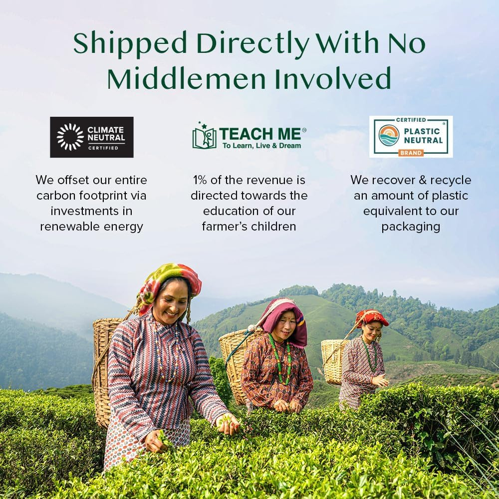 VAHDAM, Green Tea Bags (100 Plant Based Pyramid Tea Bags) Green Tea Leaves from Himalayas | Non GMO, Gluten Free, Naturally High Grown | Whole Loose-Leaf Tea Bags | Resealable Ziplock Pouch